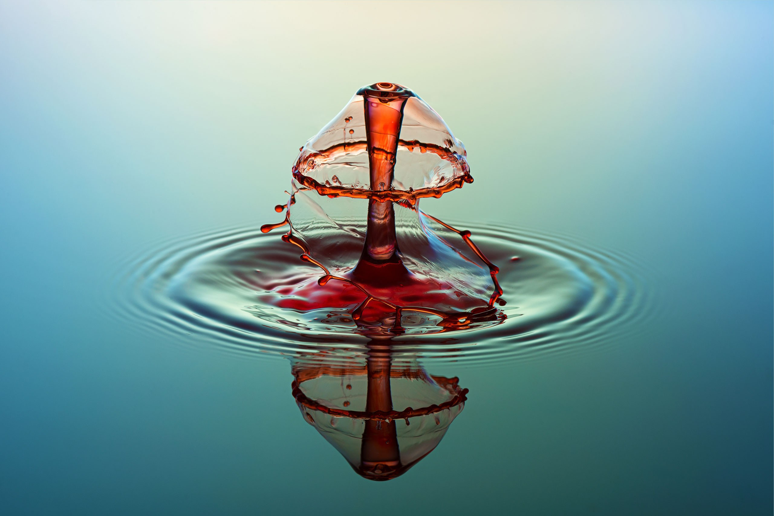 Классические формы. Скульптуры из воды Сергея Толмачева