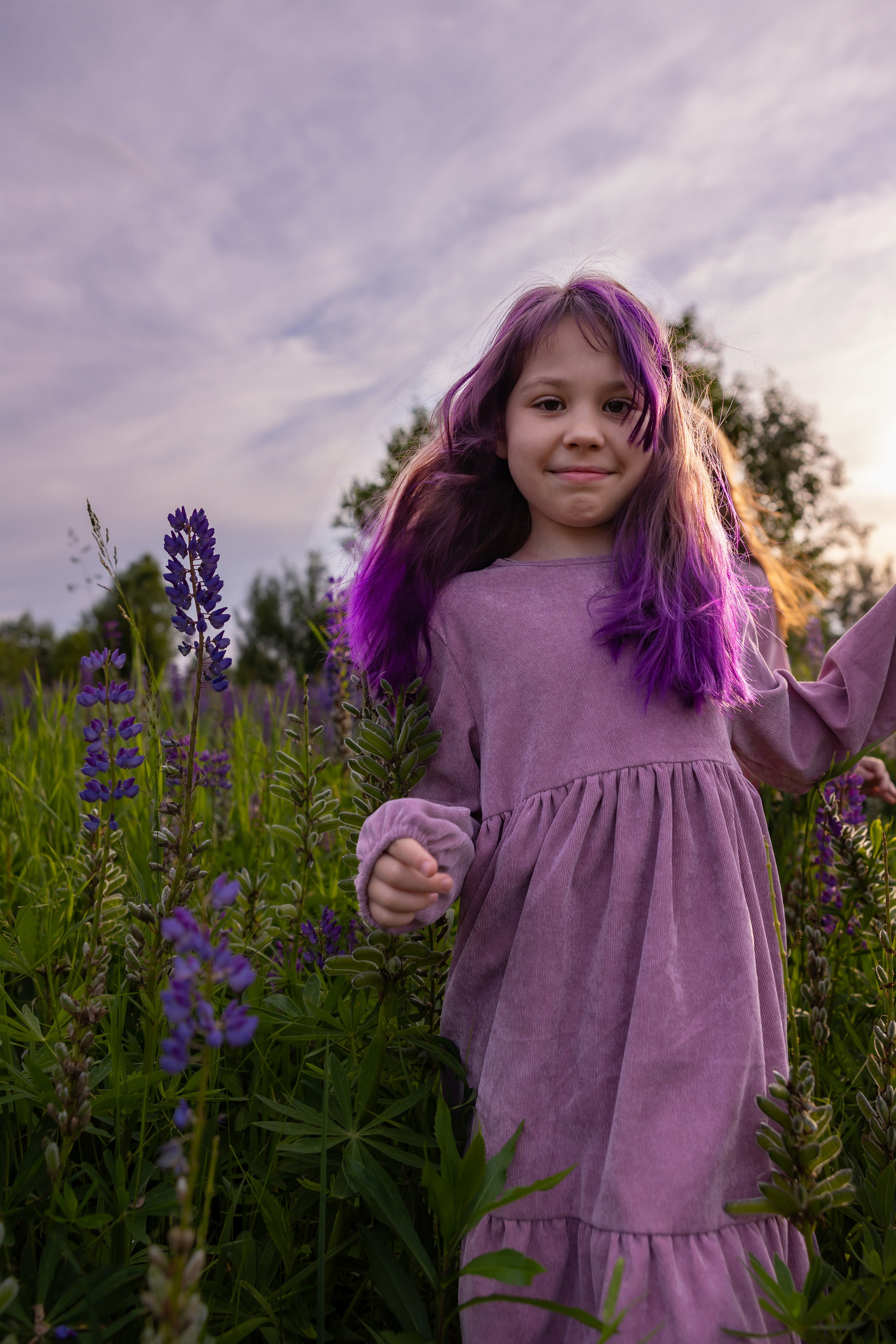 Пикник в люпиновом поле. Сказочный фотограф для Вас и Вашей семьи