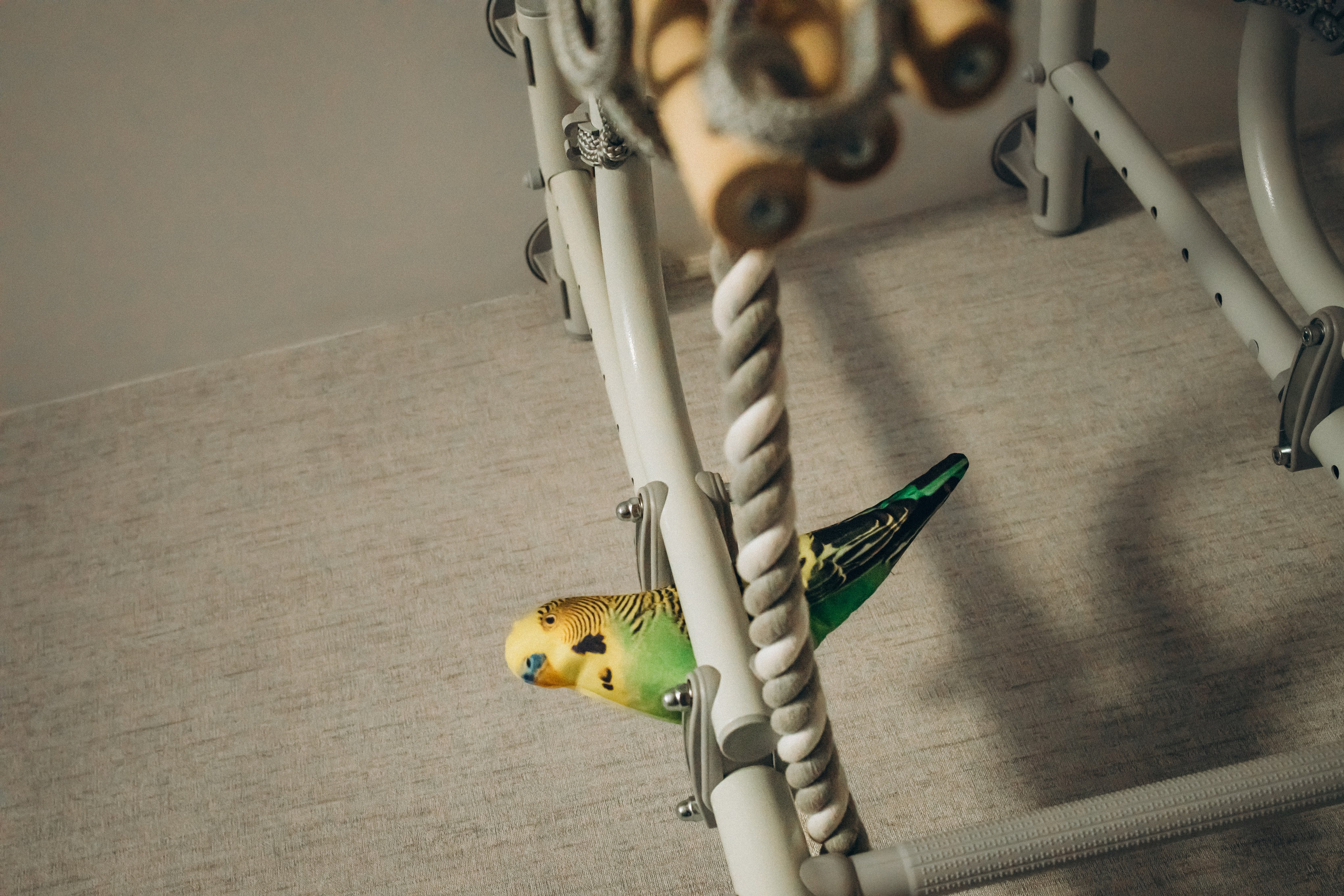 GOOD AT HOME. Фотограф Наталья Карякина|Челябинск