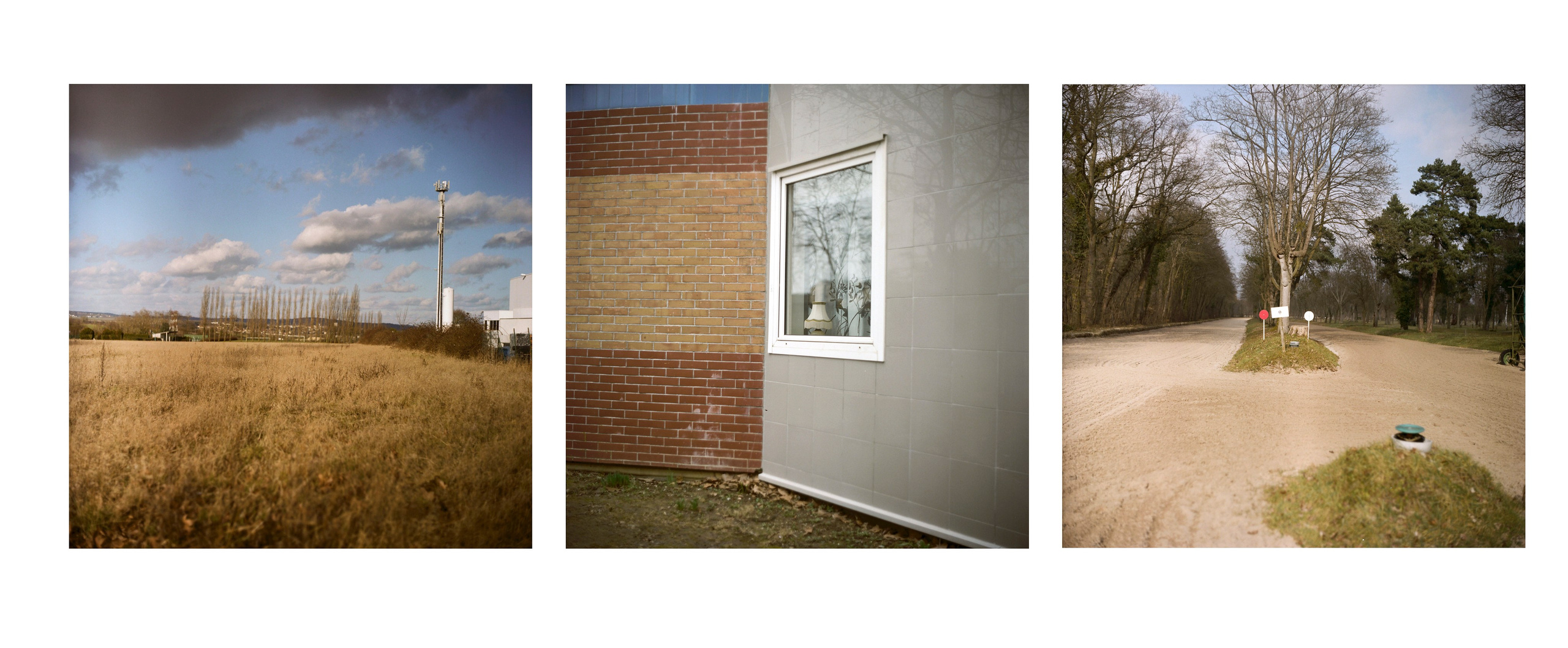 Tor. Katya Zimina, film photographer