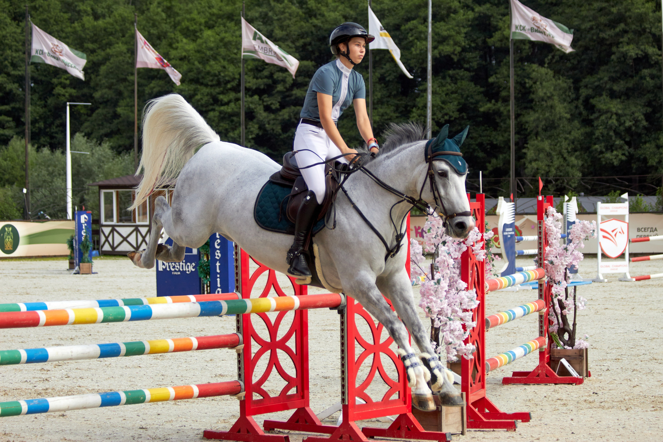 Конкур в «Виват, Россия». Фотограф анималист — Тула, Москва