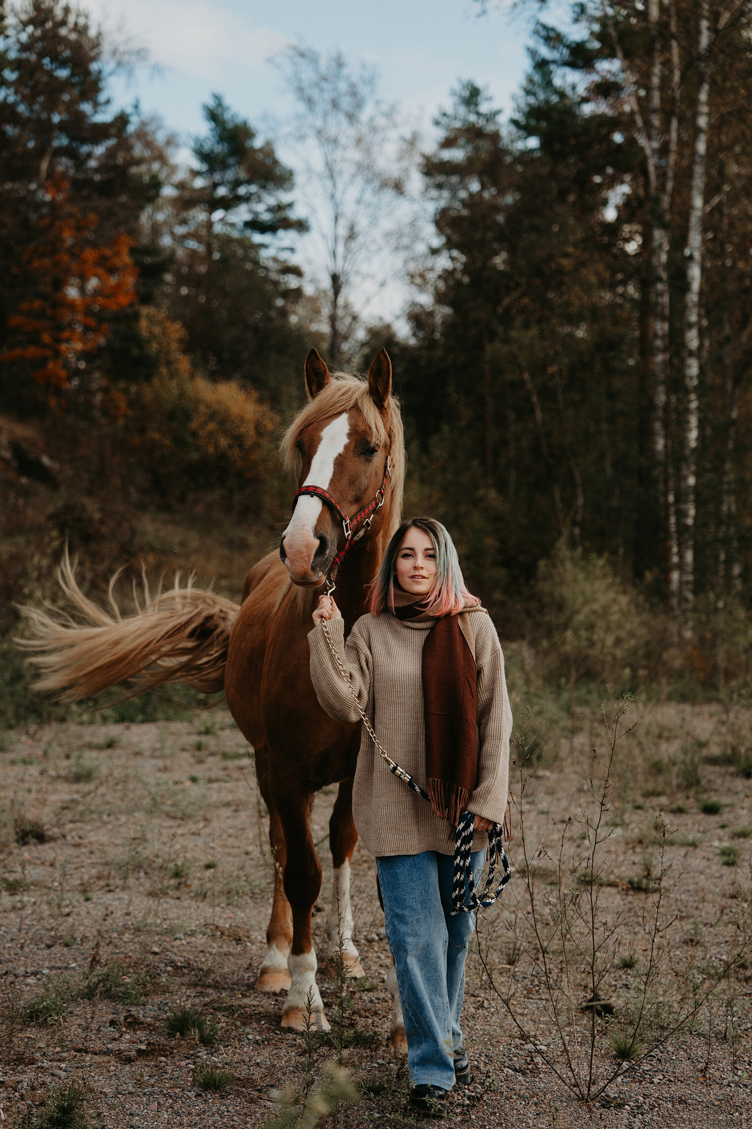 Конные. Главная