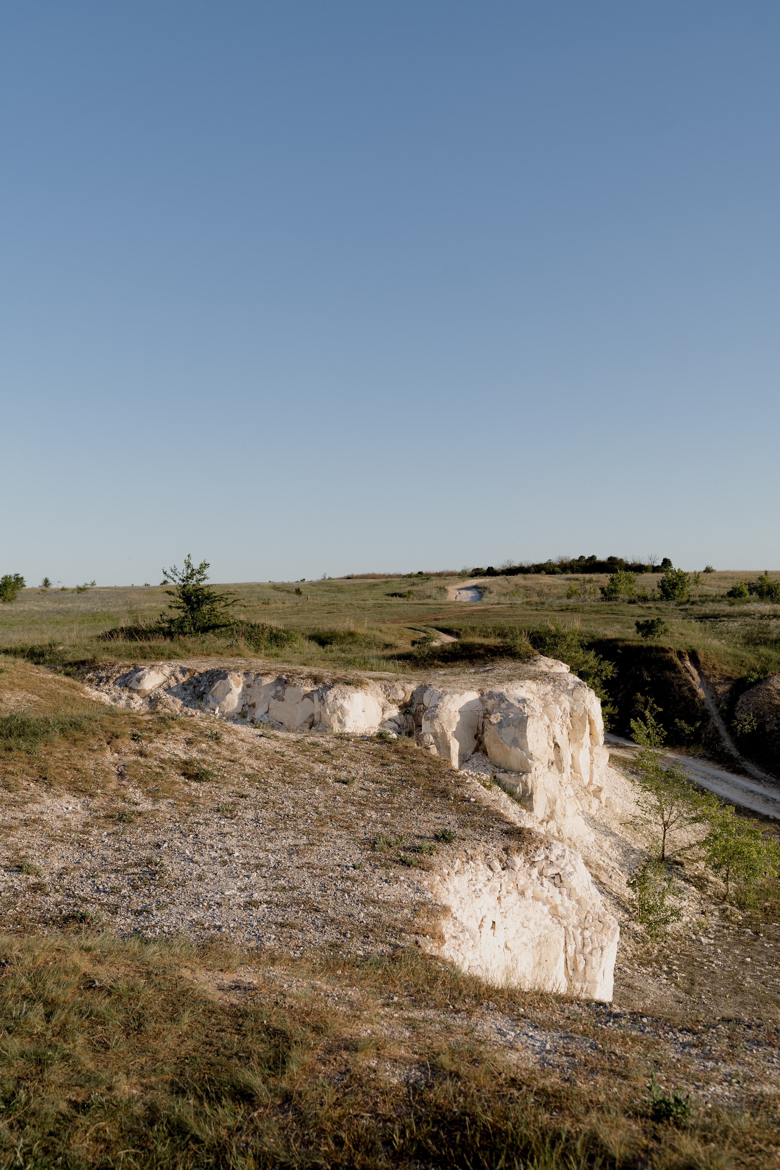 Егор и Лиза. Свадебный фотограф Воронеж Марина Грудинина