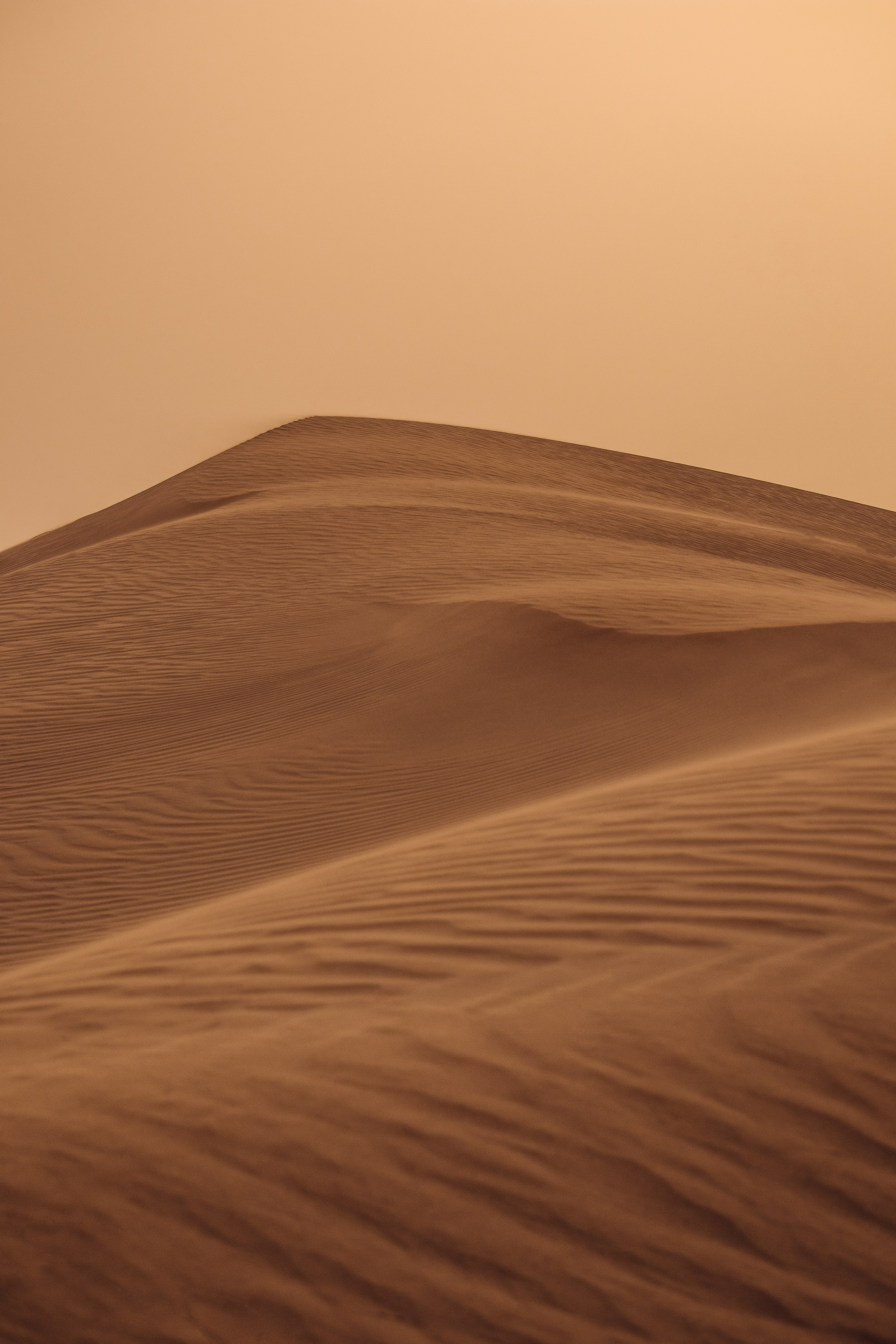 Жизнь. Фотограф Алматы | Весь мир — Никита Колодин