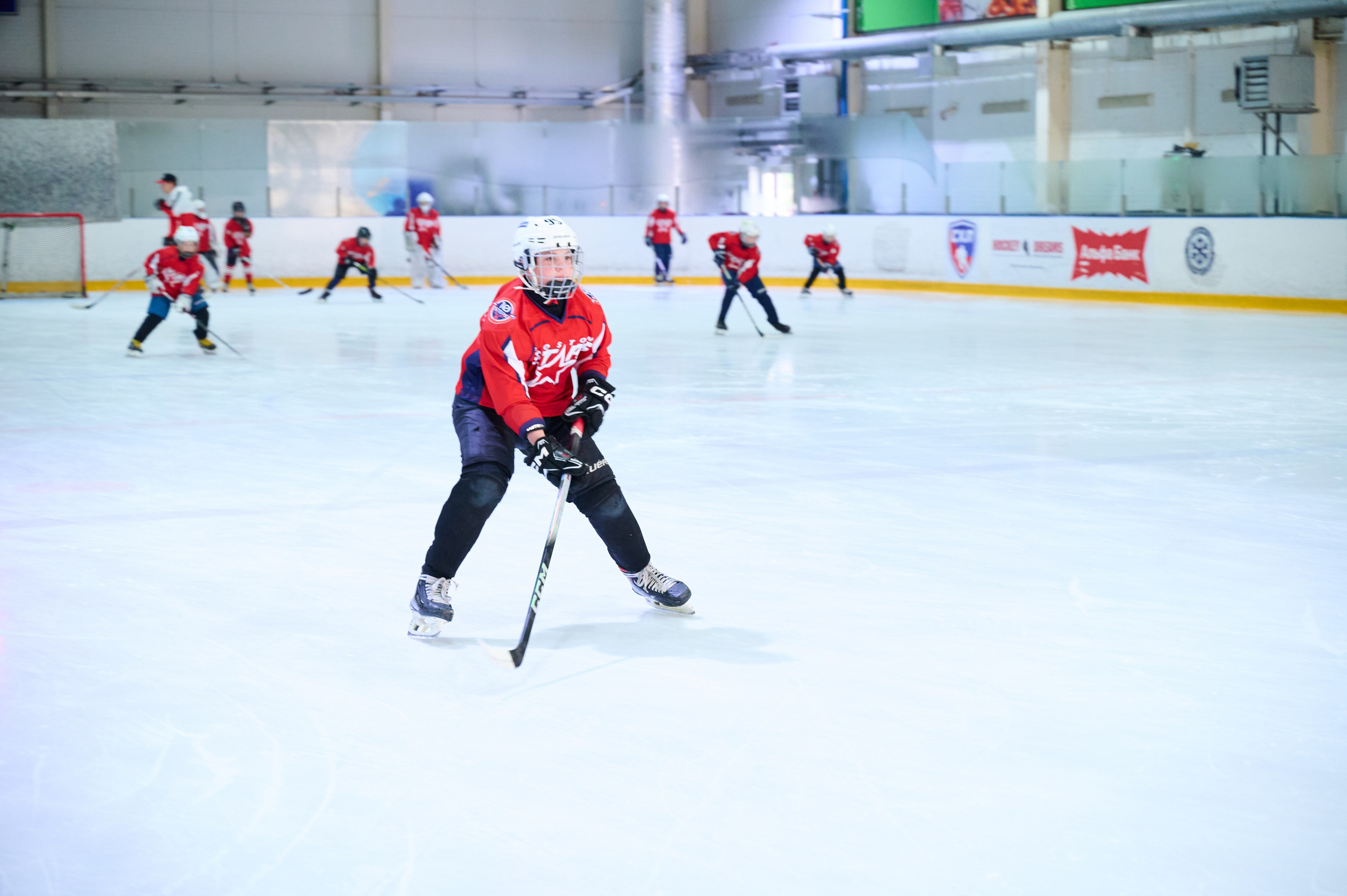 Boston Stars. Фотограф Универсал в Новосибирске