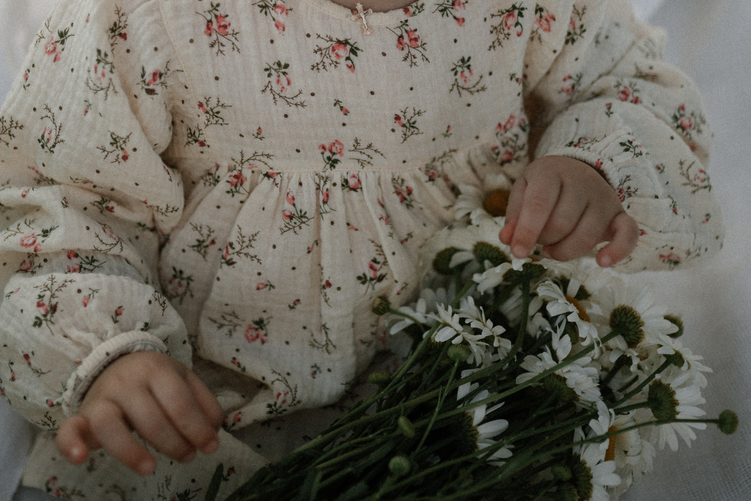 Ида, Мира и ромашки. Свадебный и семейный фотограф Кожевникова Лариса