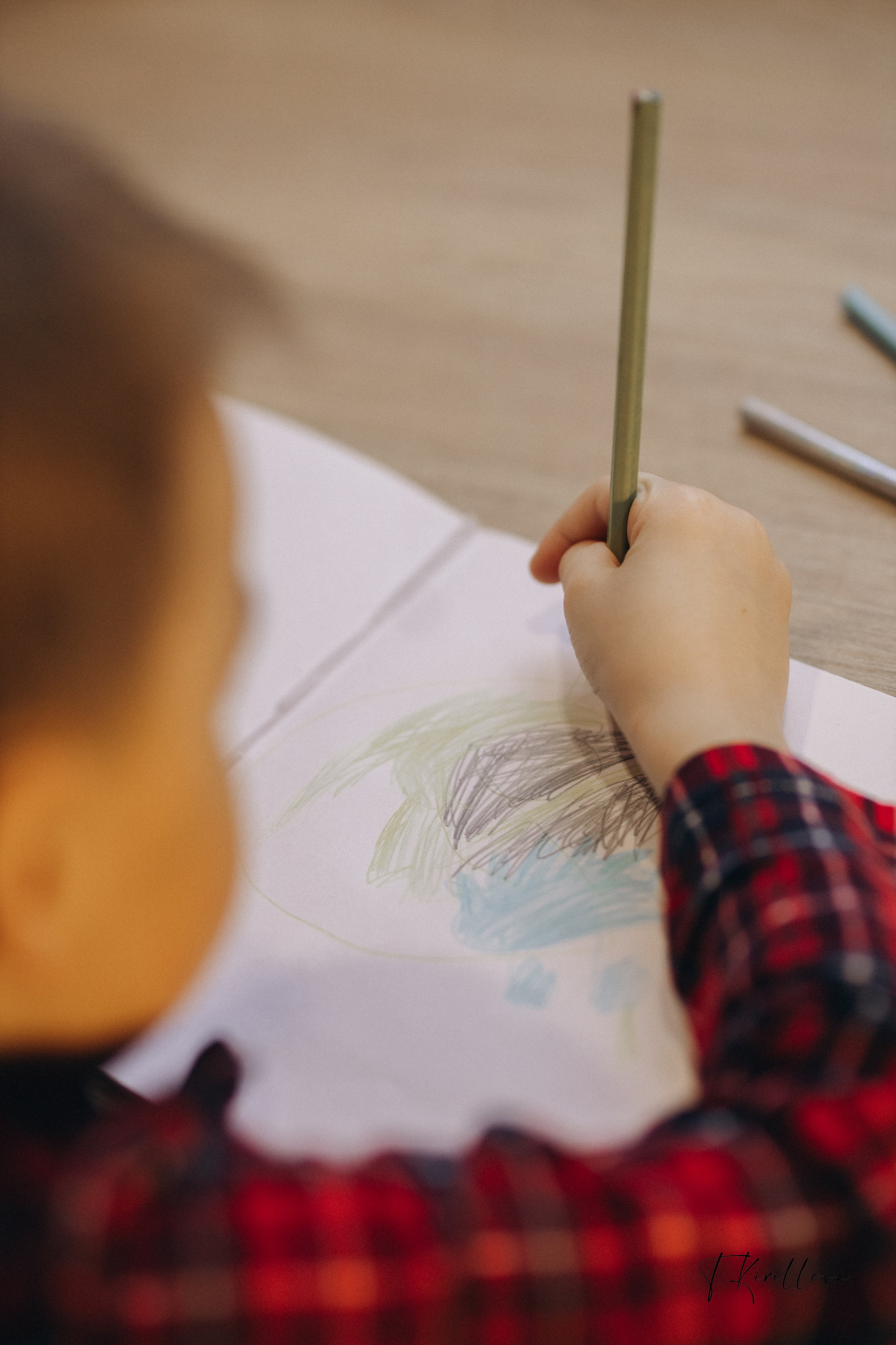 Новогоднее утро. Фотограф-анималист в Москве Кириллова Татьяна