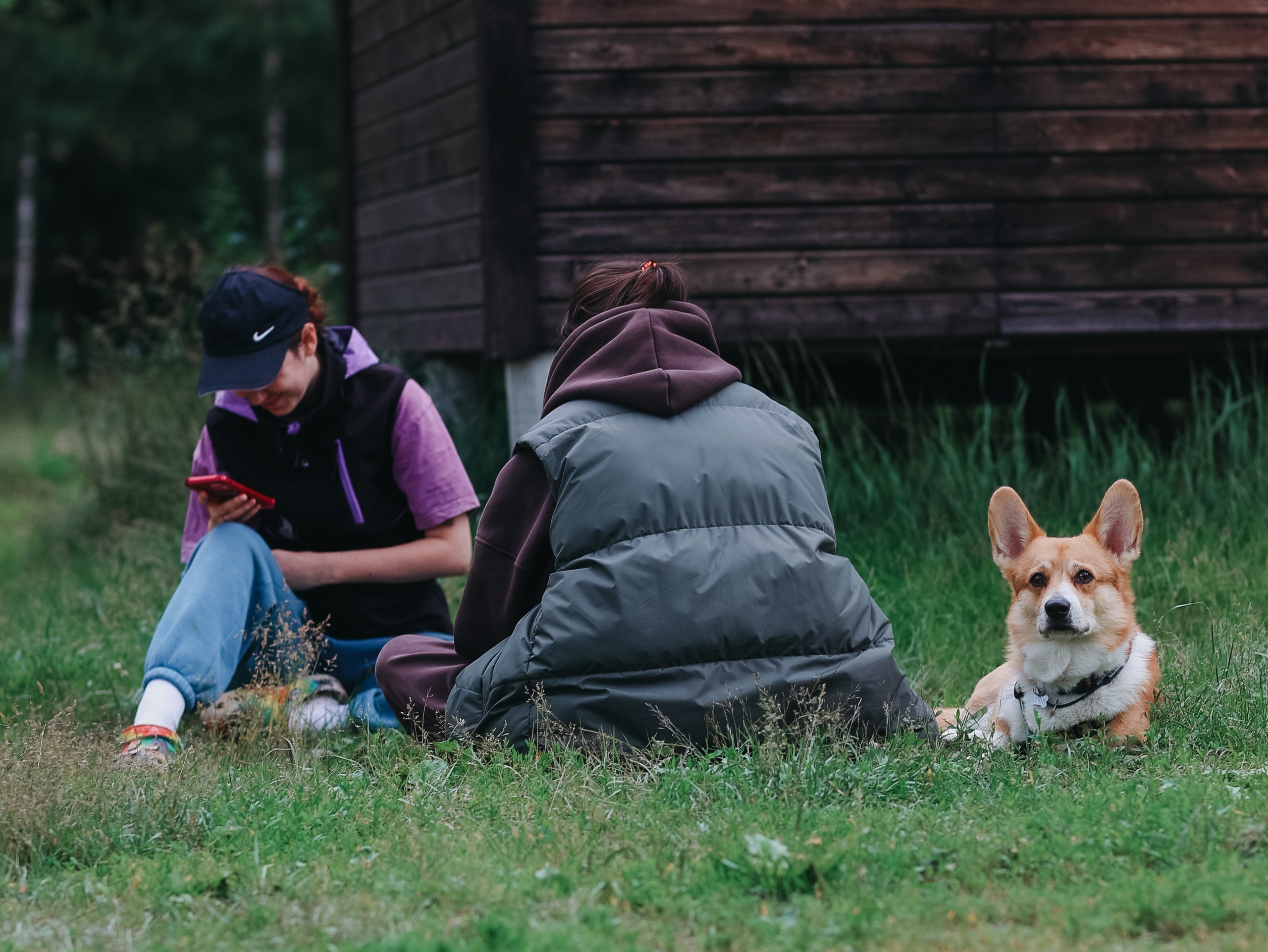Лагерь ноузворк. Фотограф-анималист в Москве Кириллова Татьяна
