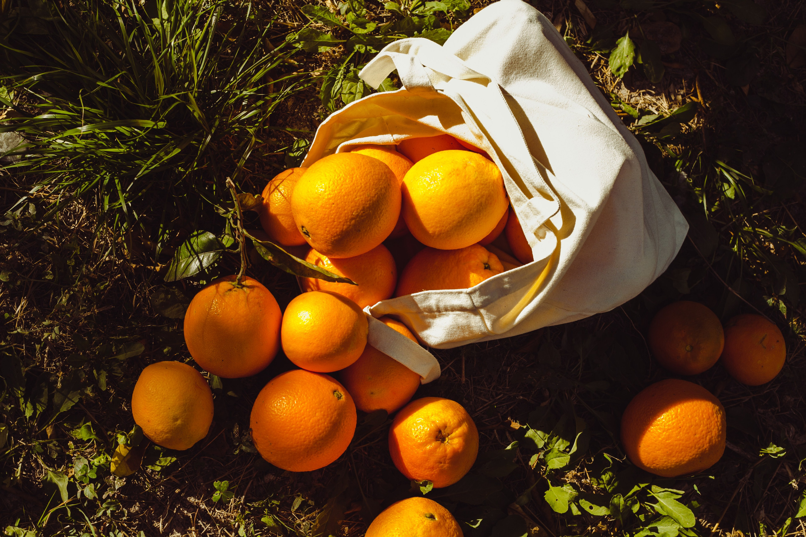 Alla. ANNA KUDRINA PHOTOGRAPHY Russia