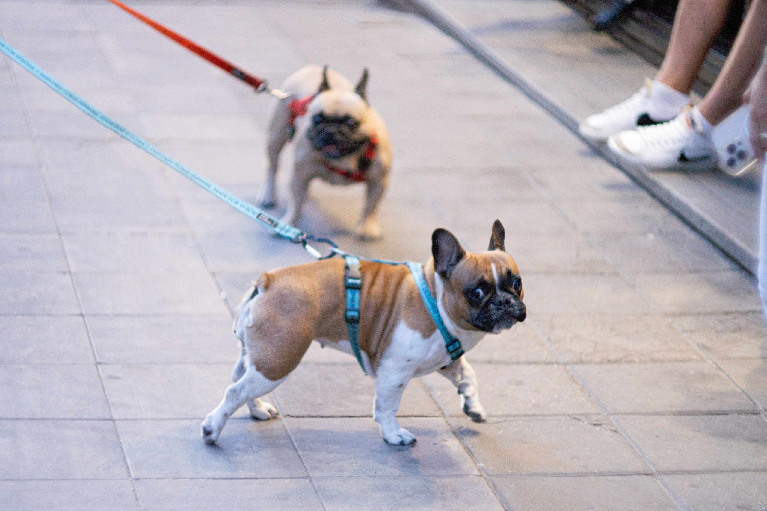УЛИЦЫ. ПОБУДЬ ЗДЕСЬ И ЦЕЛЕЕ БУДЕТ ЭТОТ МИР
