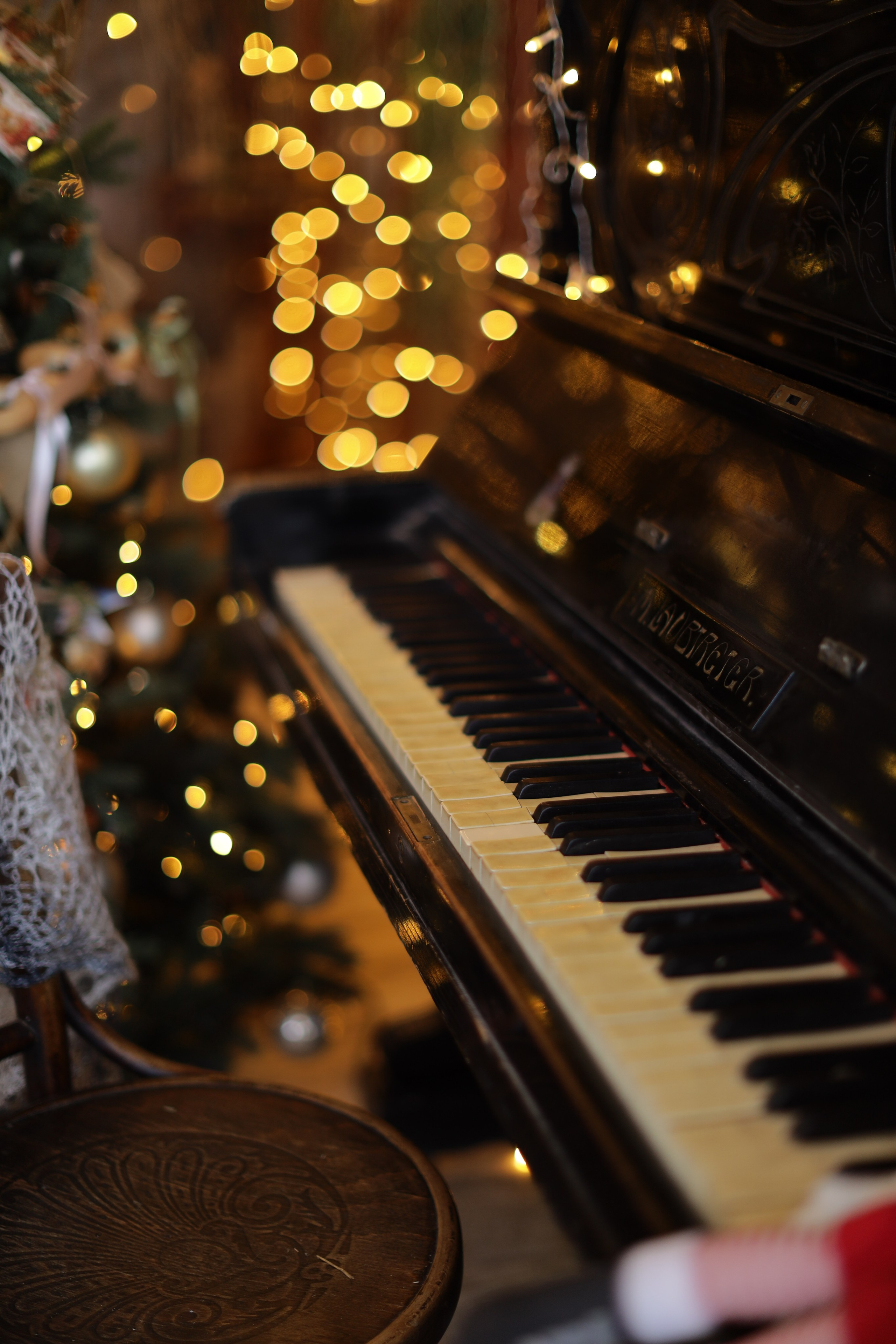 Фотостудия «Роял» зал Теплица. Свадебный фотограф в Ростове Александра Груздева