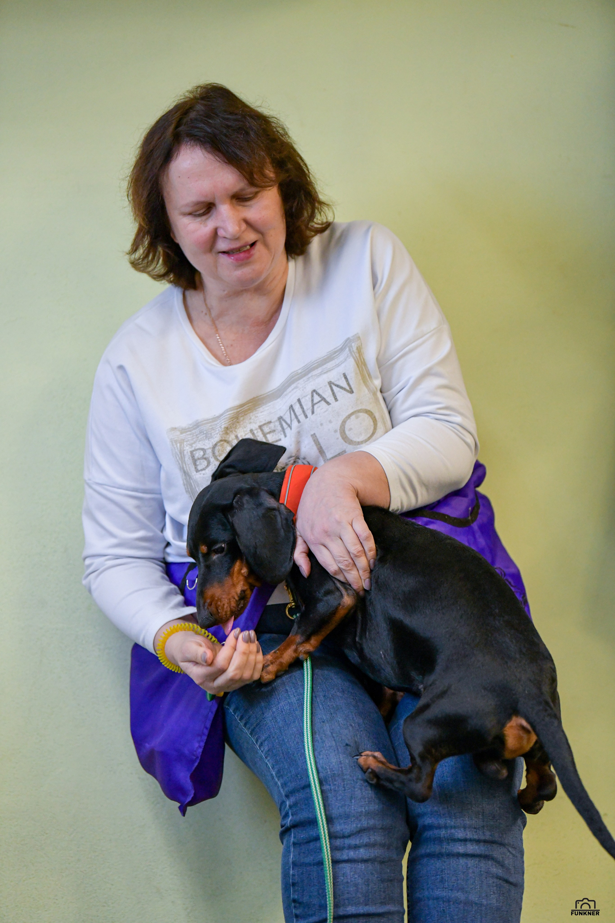 Кинологический клуб «Бодрый хвост». Свой взгляд через объектив