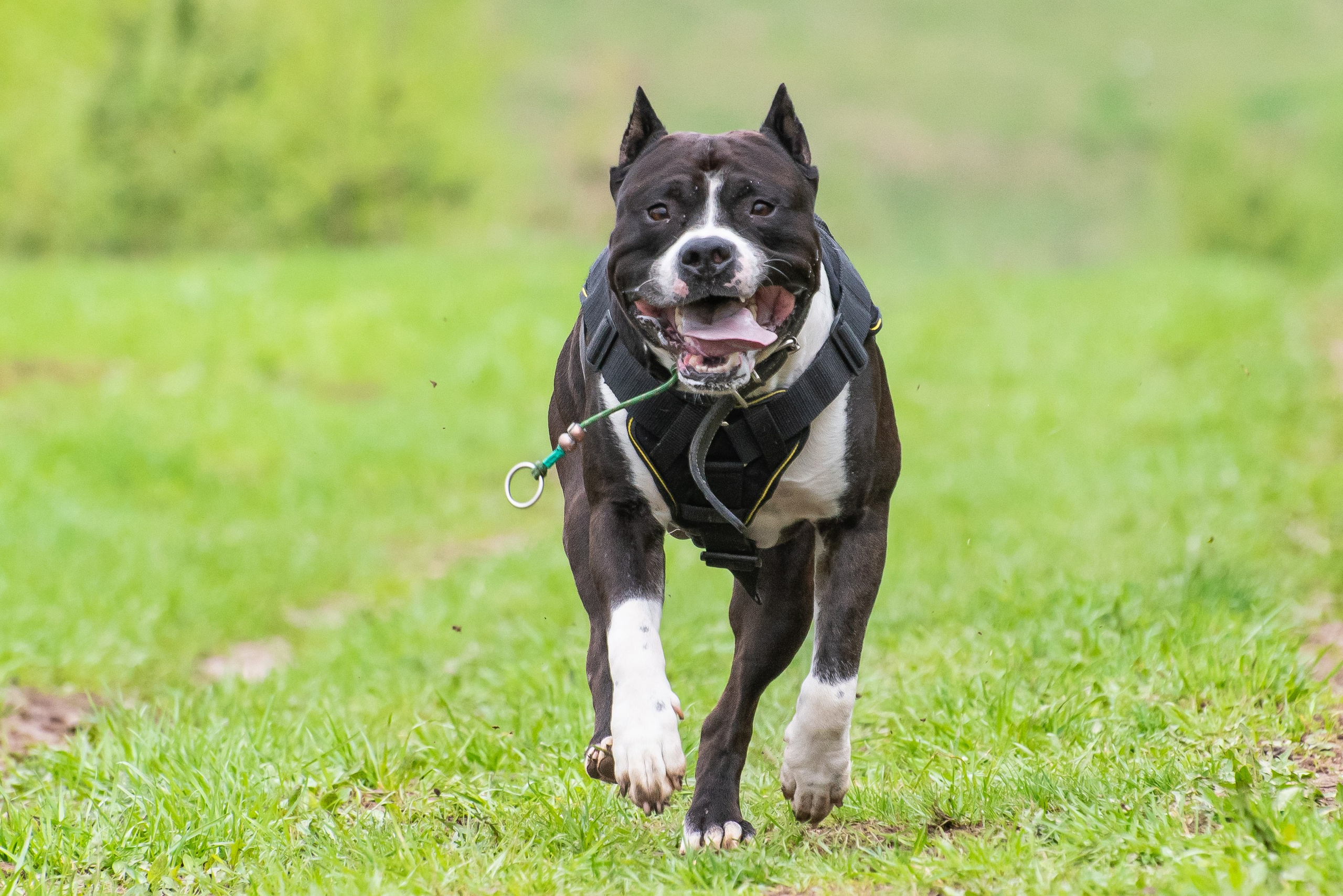 Фотографии с Курсинга. Фотограф Макс Огурцов в Нижнем Новгороде