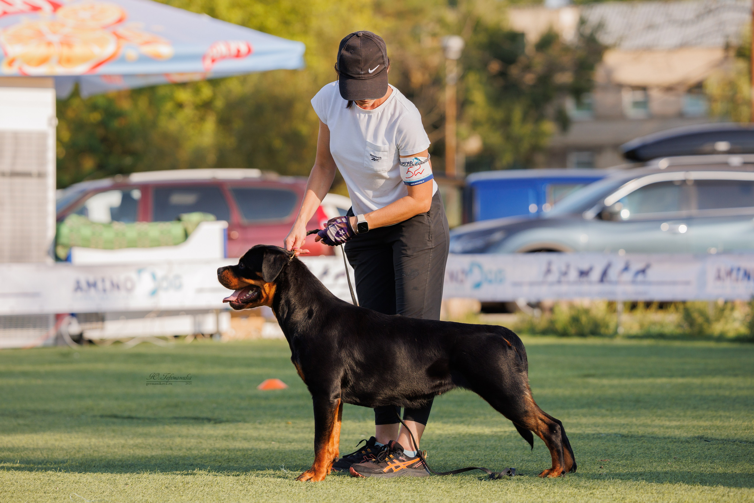 Анапа ротвейлеры 14-15.09.2024. Фотограф-анималист Юлия Германика