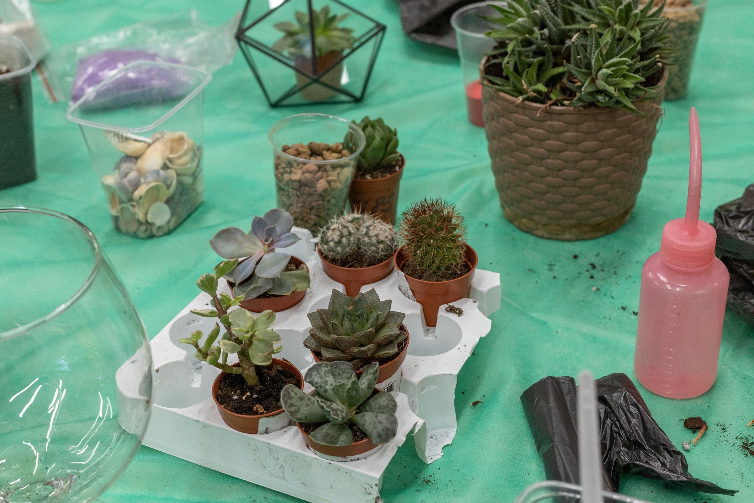 Репортажная съемка мероприятий. Семейный и свадебный фотограф в Москве и Домодедово Анна Авилочкина