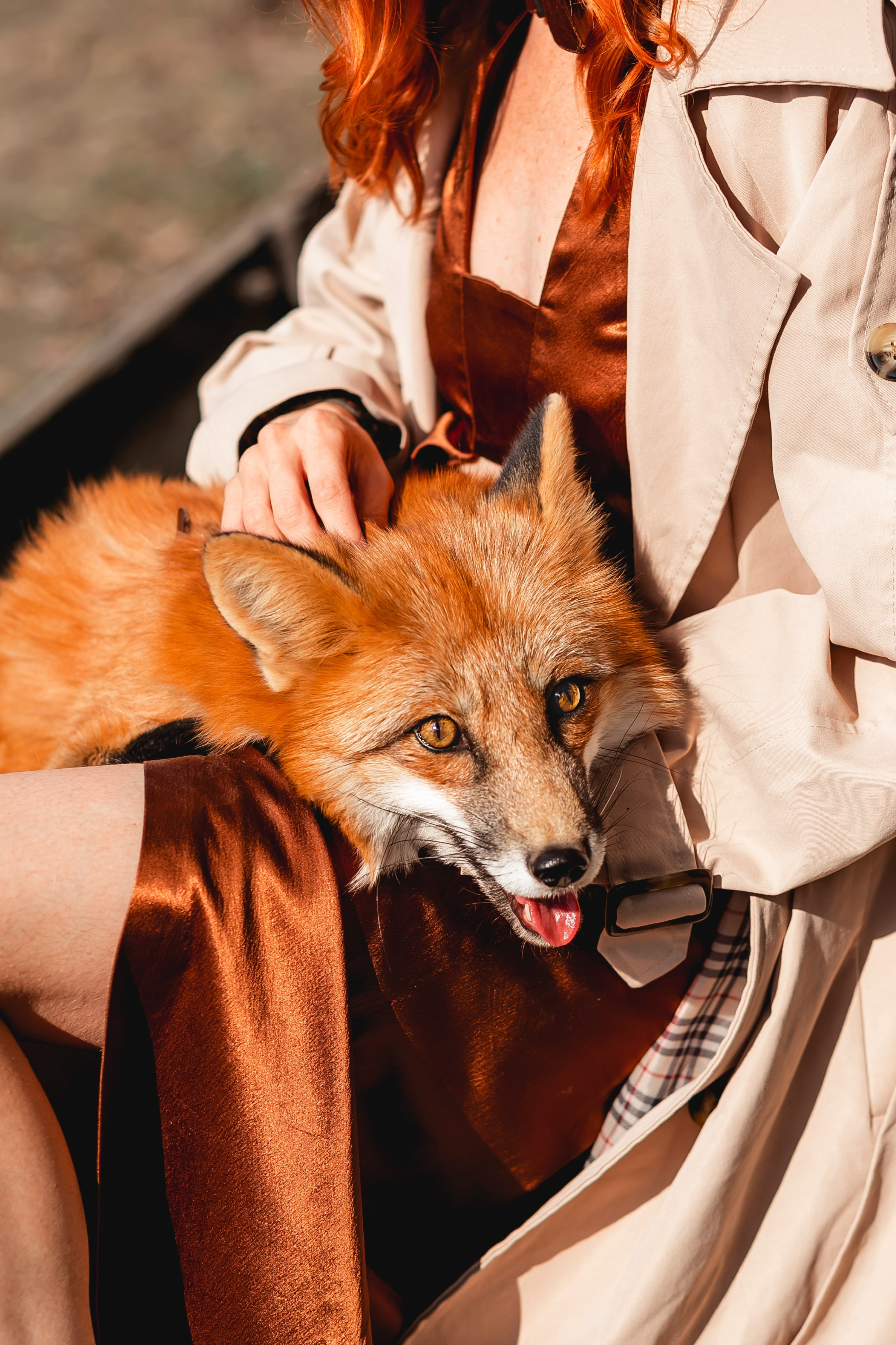 С лисом на берегу. Фотограф в  г. Новосибирск