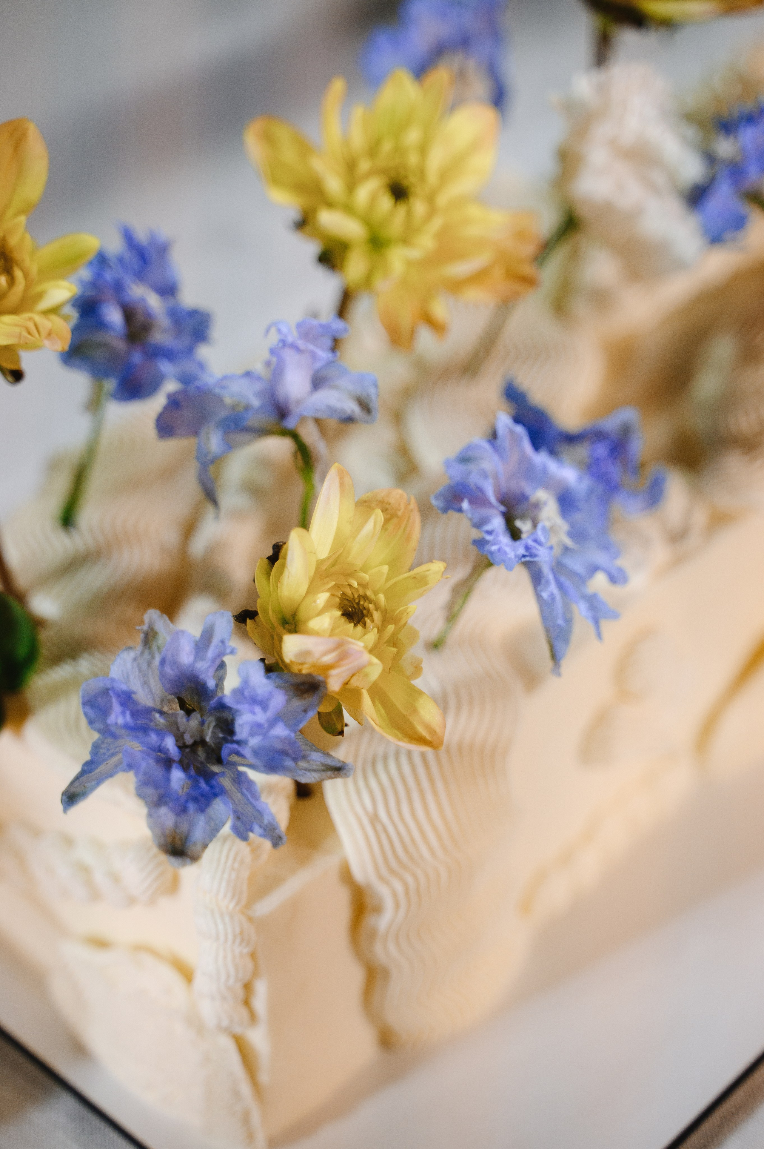 Держась за руки…. Свадебный фотограф Тольятти Самара Холмов Артем