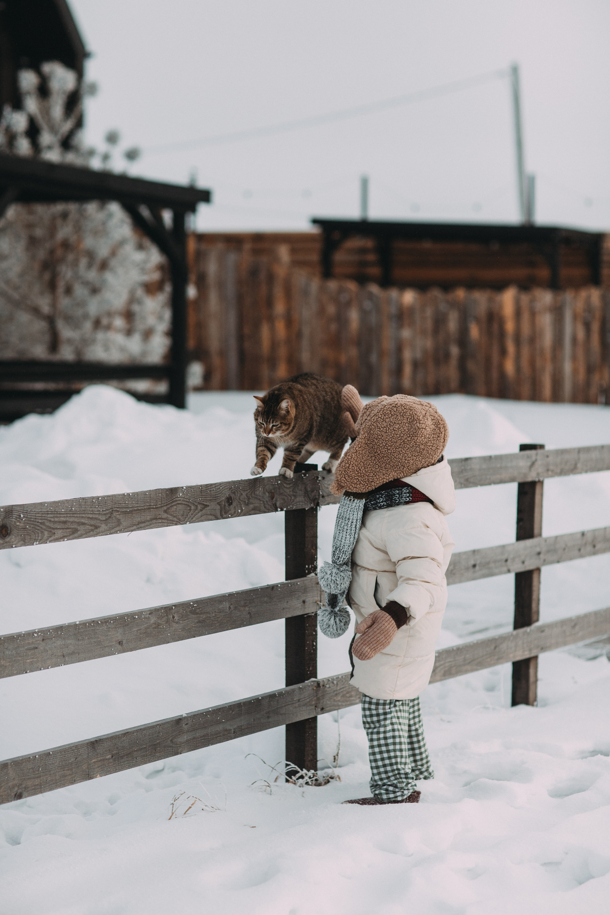 Треугольный домик. Главная