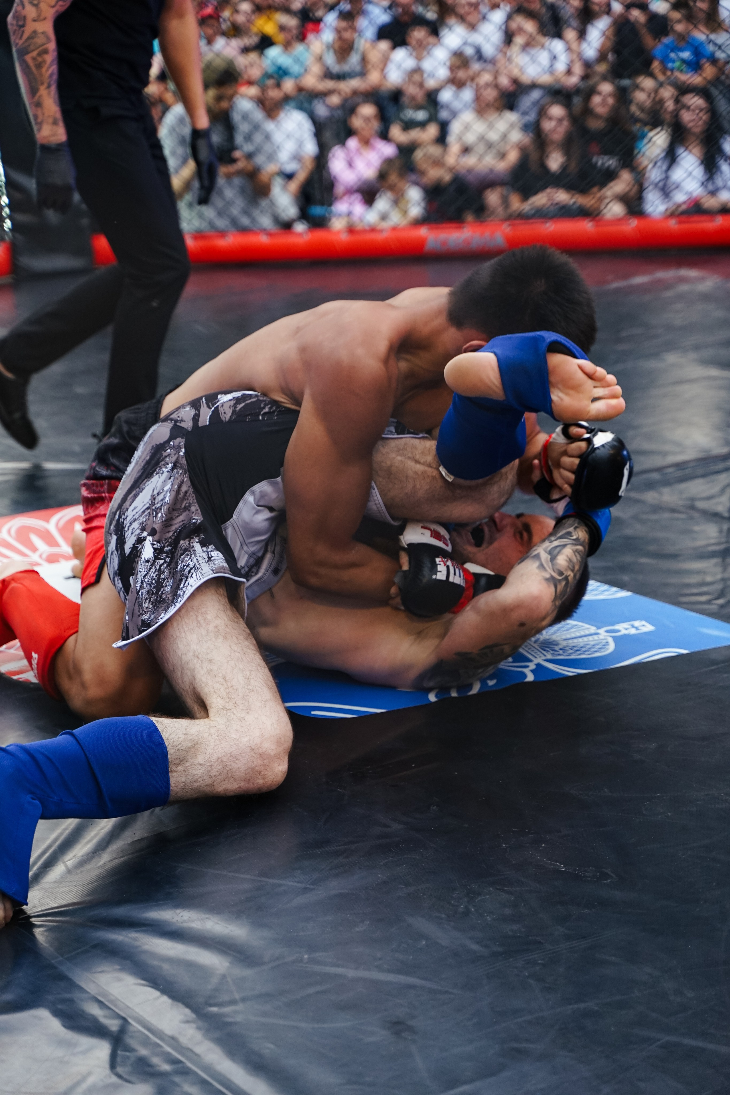 Вечер боев в ЦПКиО. Фотограф Надежда Погребняк | Рязань | Москва