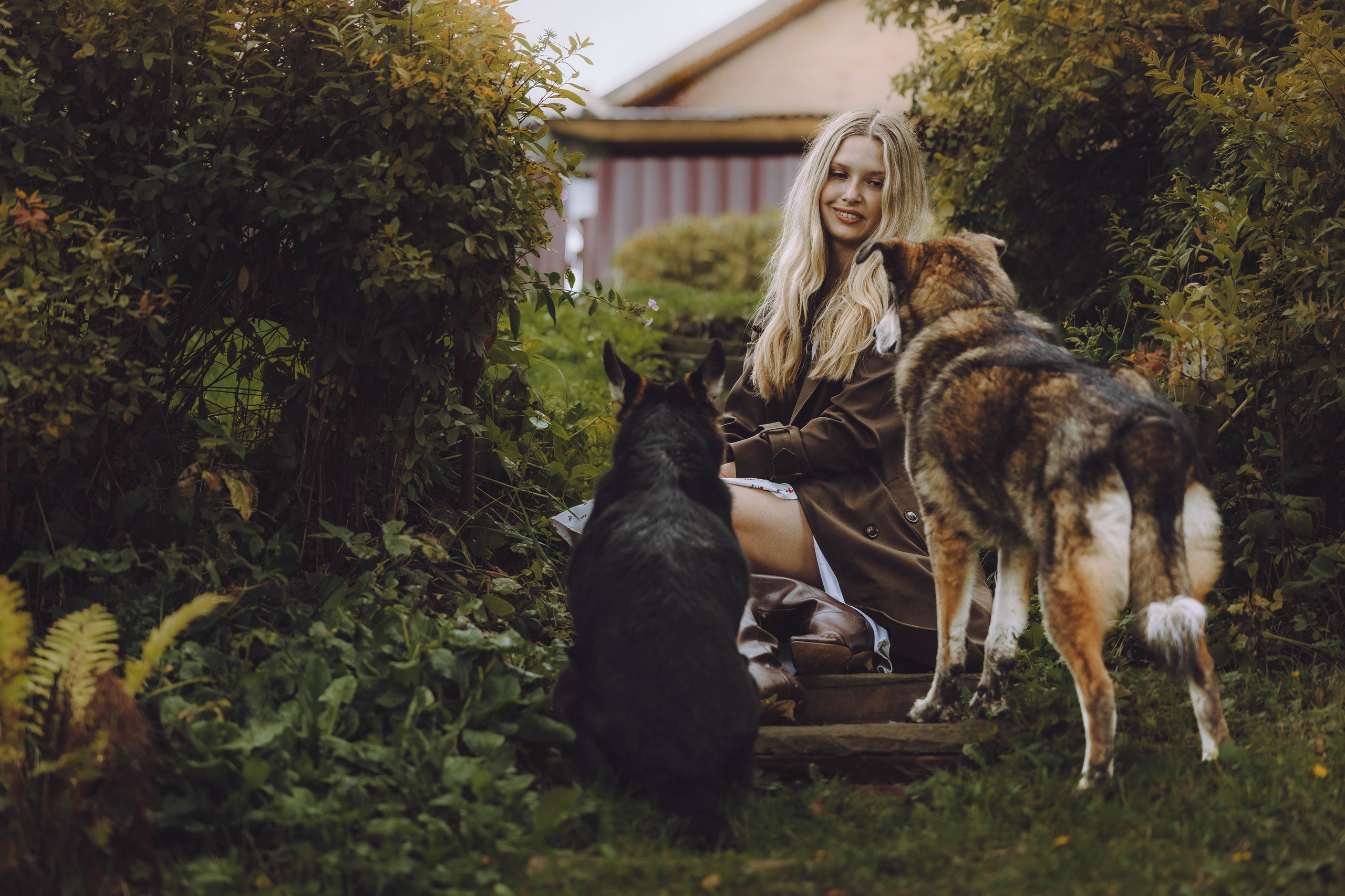 Это МЫ. Фотограф-анималист Еремина Вероника в Москве