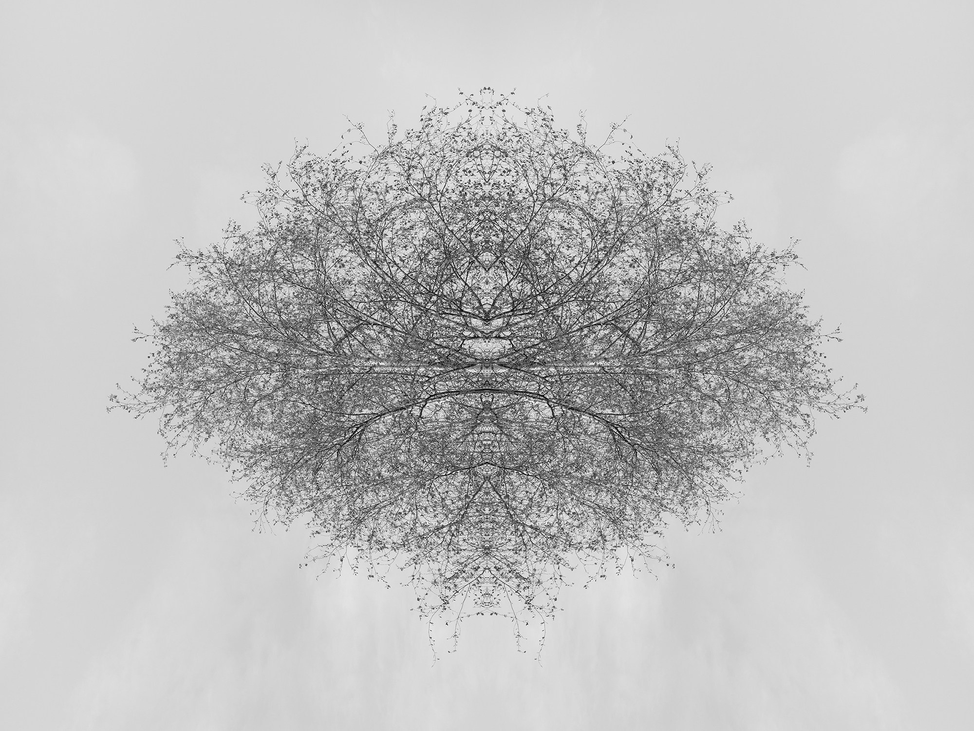 Острова. Анна Порошина — междисциплинарный художник