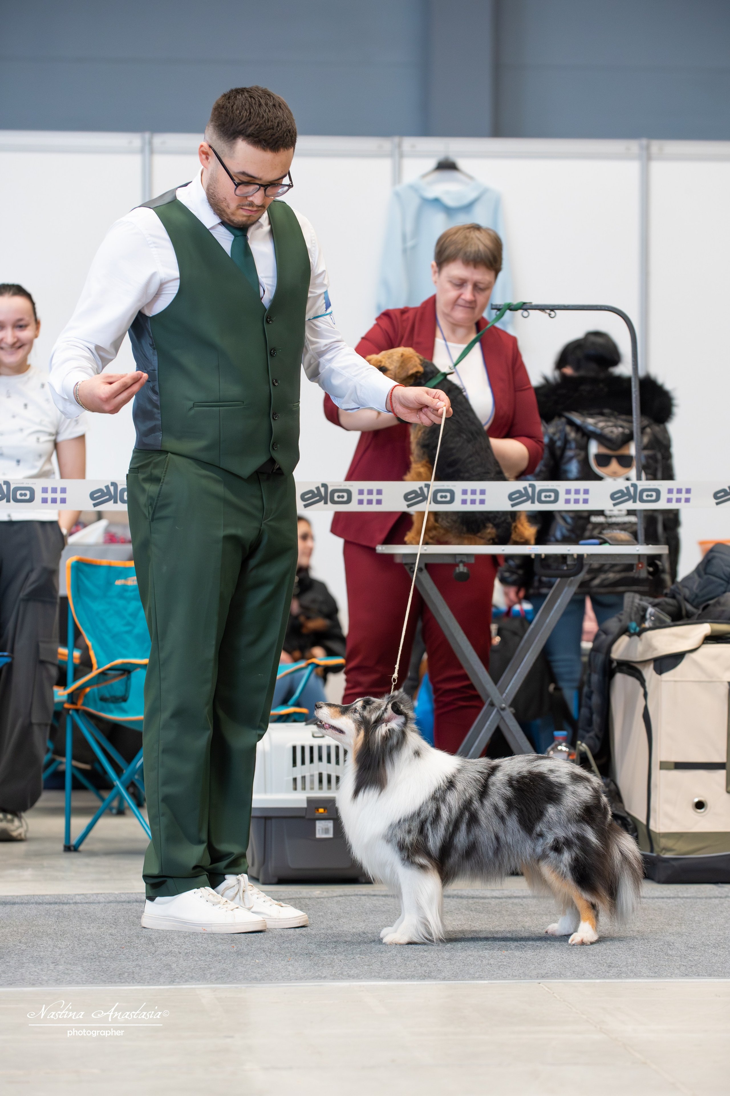 Выставки. Фотограф — Анималист