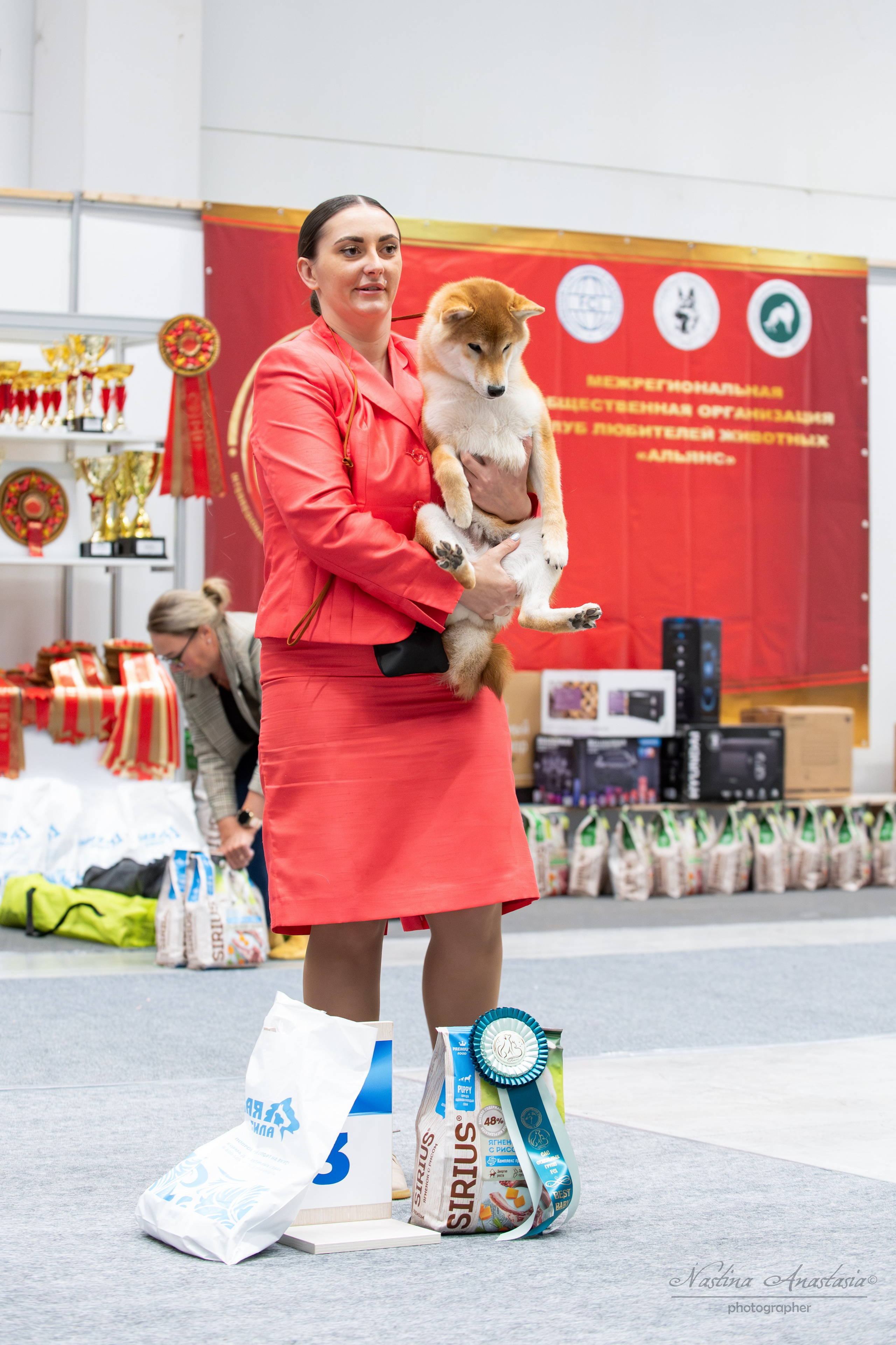 Выставки. Фотограф — Анималист