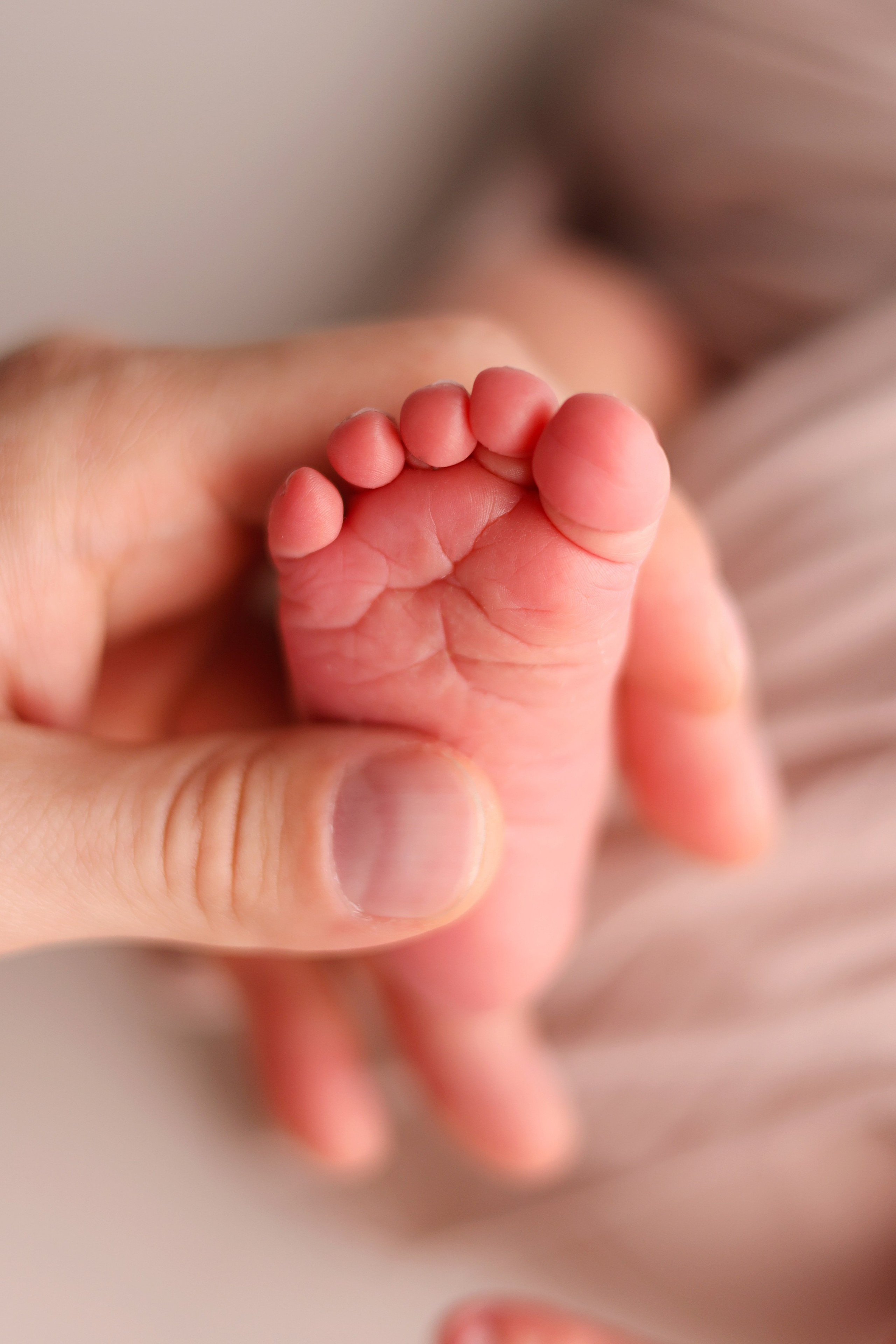 Ньюборн съемка Мишеньки. Ньюборн фотограф в Бутово Столярова Светлана. Фотограф новорожденных Москва. Ньюборн фотограф Москва