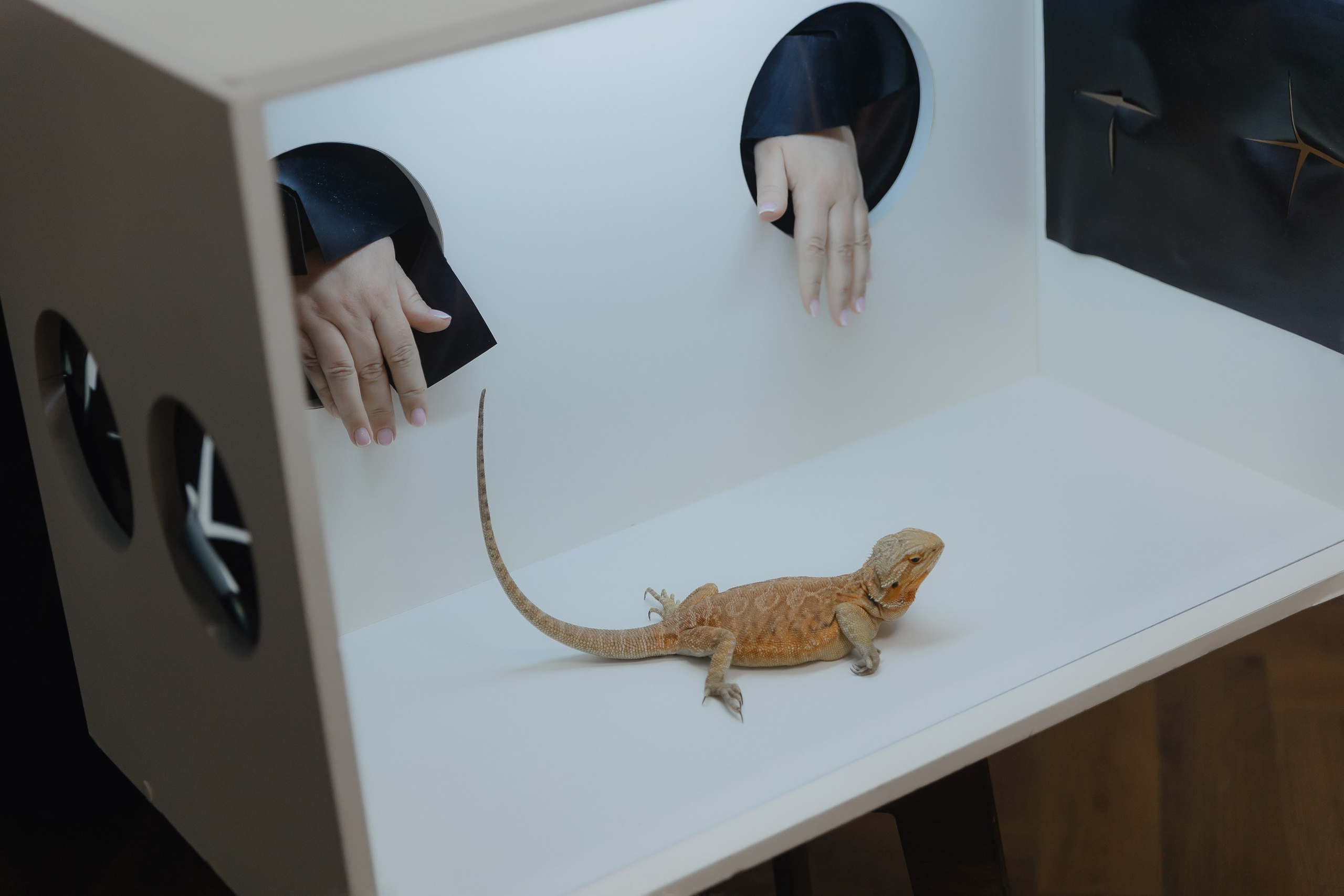 Открытие нового пространства интерьерного салона L. DECO в феврале 2025. L. Deco интерьерный салон. Краски/обои/лепной декор