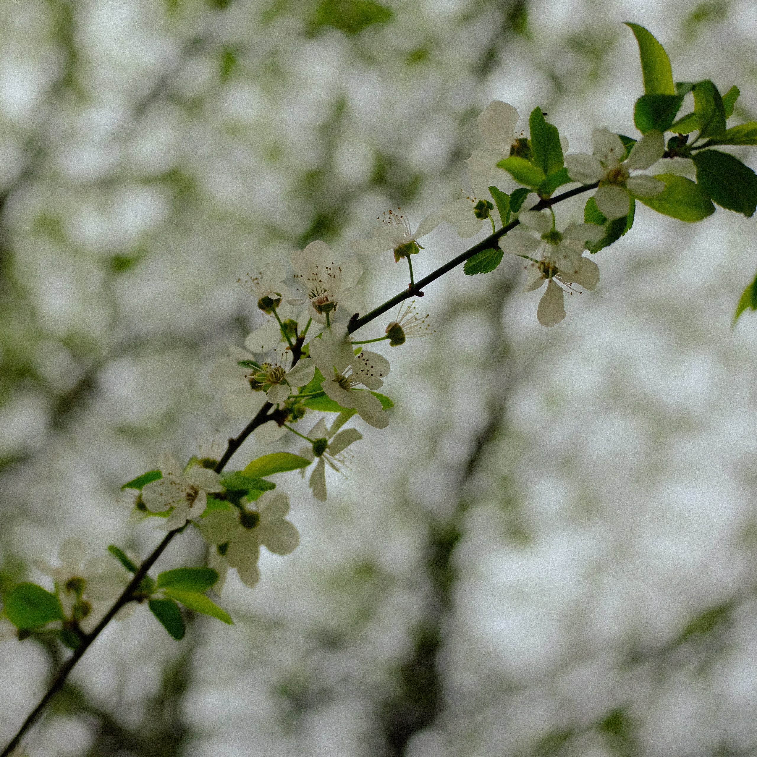 Krasnodar. Creative travel photographer — Berg Daria