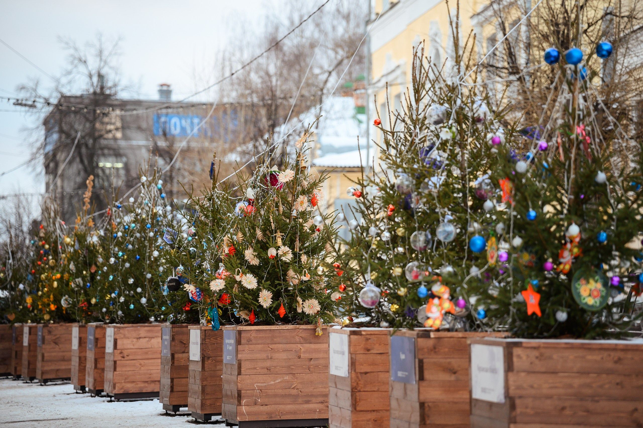 Новогодние волонтеры | Открытие Новогодней столицы Кирова 2025. Репортажный фотограф в Кирове Александр Лутошкин