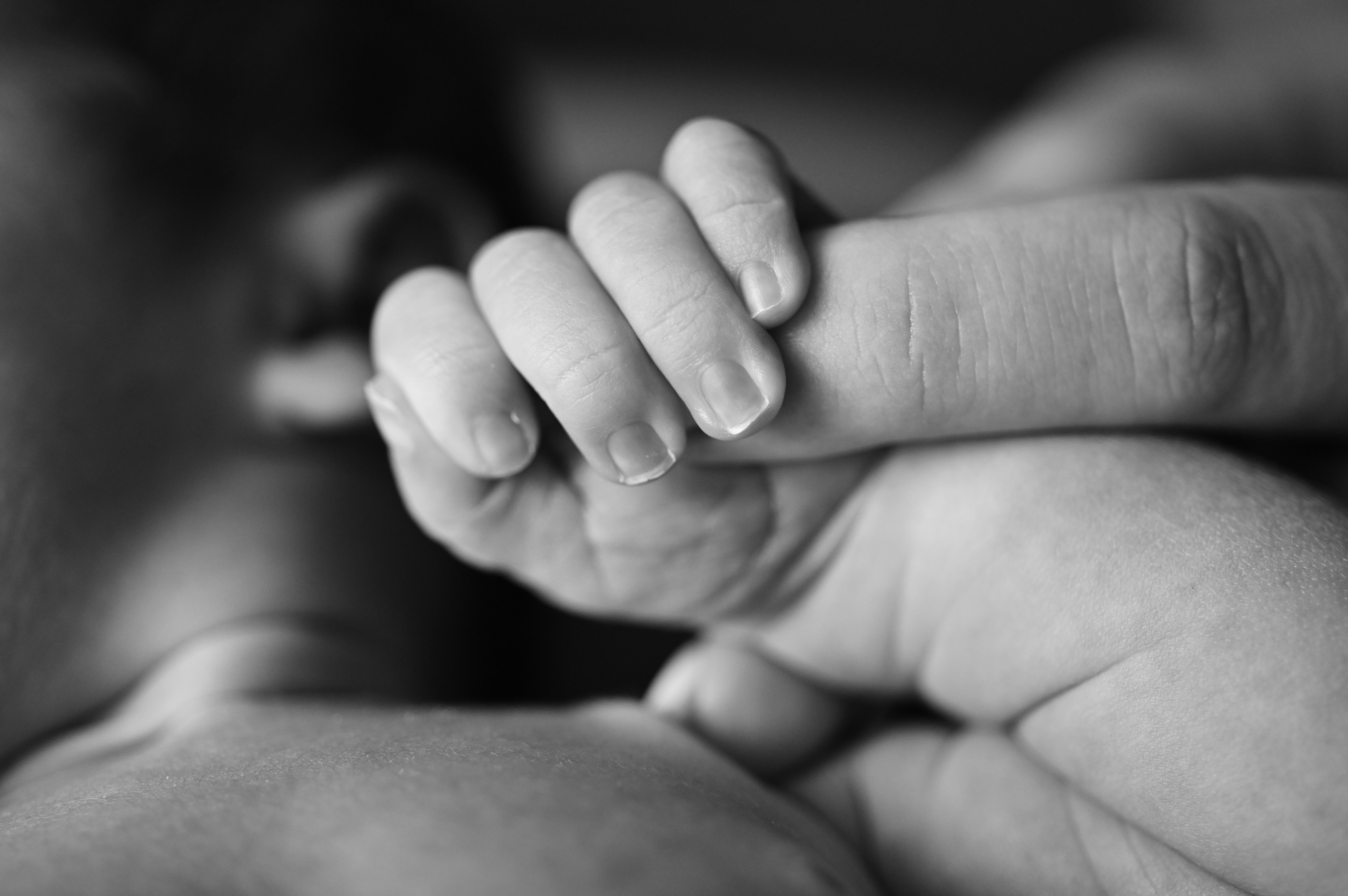 Newborn. Фотограф новорожденных во Владивостоке Панова Татьяна