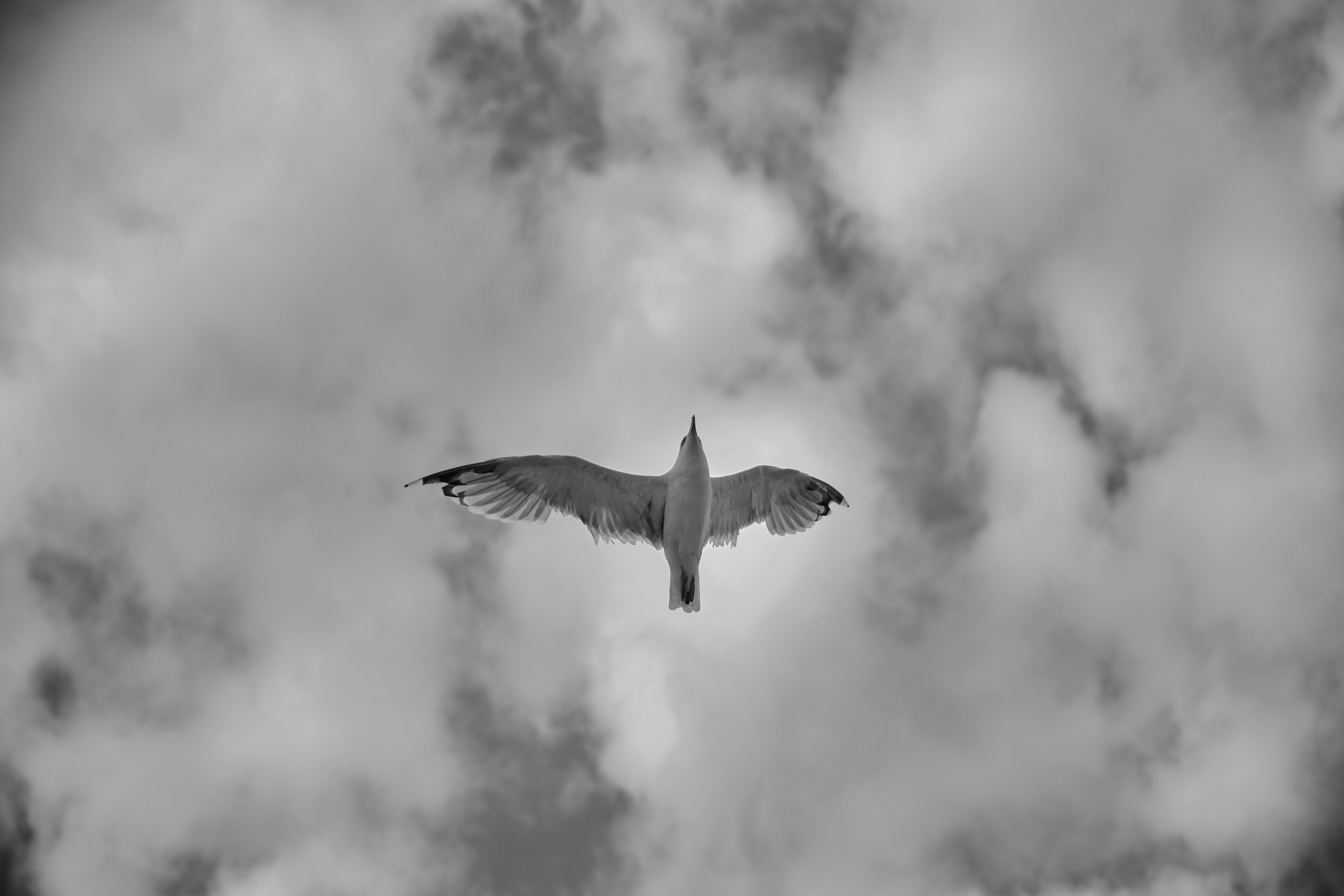 Travel in BW. Moscow street photography workshops and photo tourism