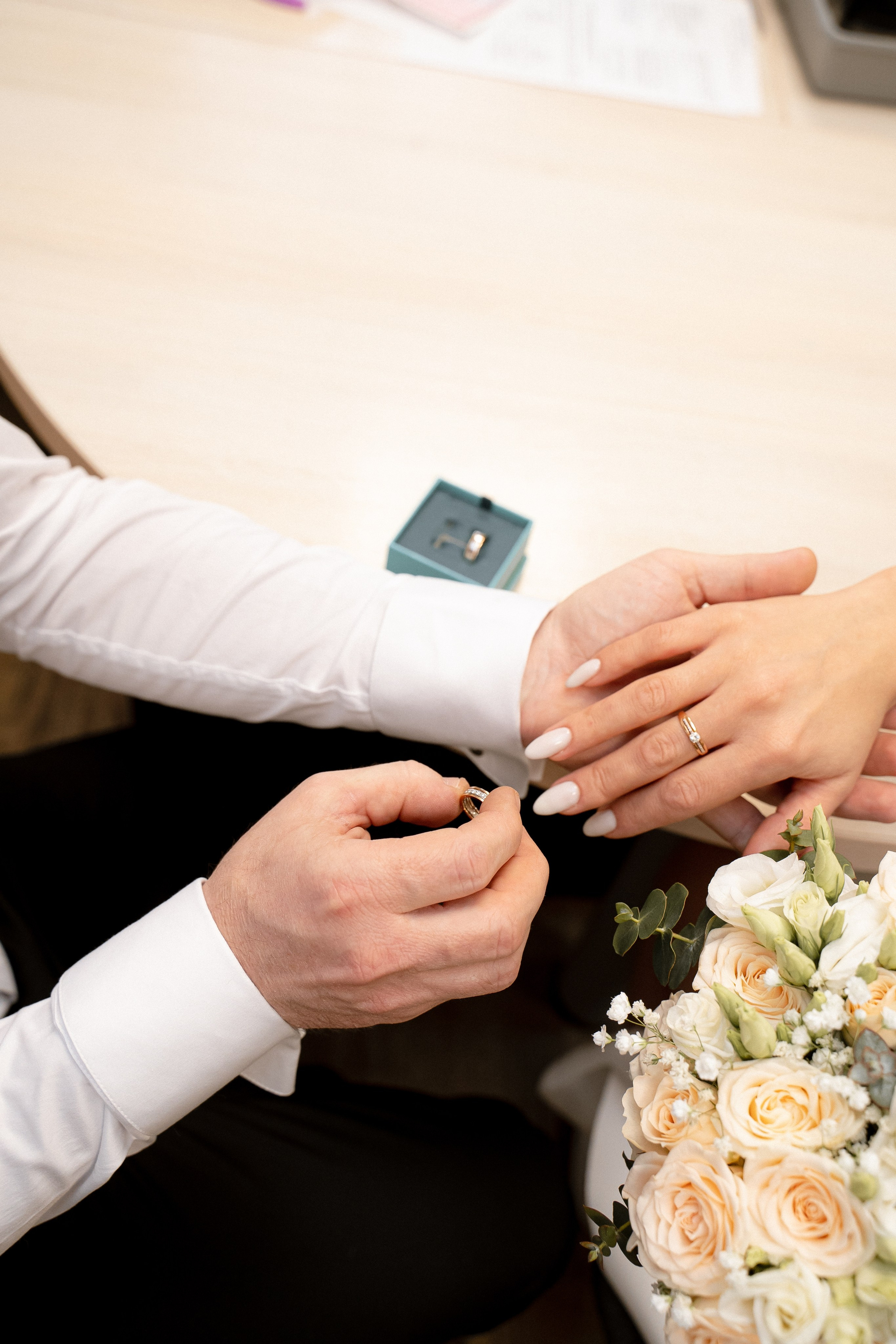 Дельфин. Фотограф Мария Зайчик