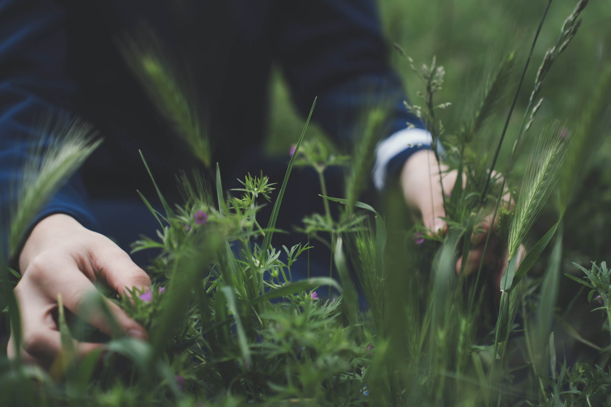 Творческие Проекты. Фото