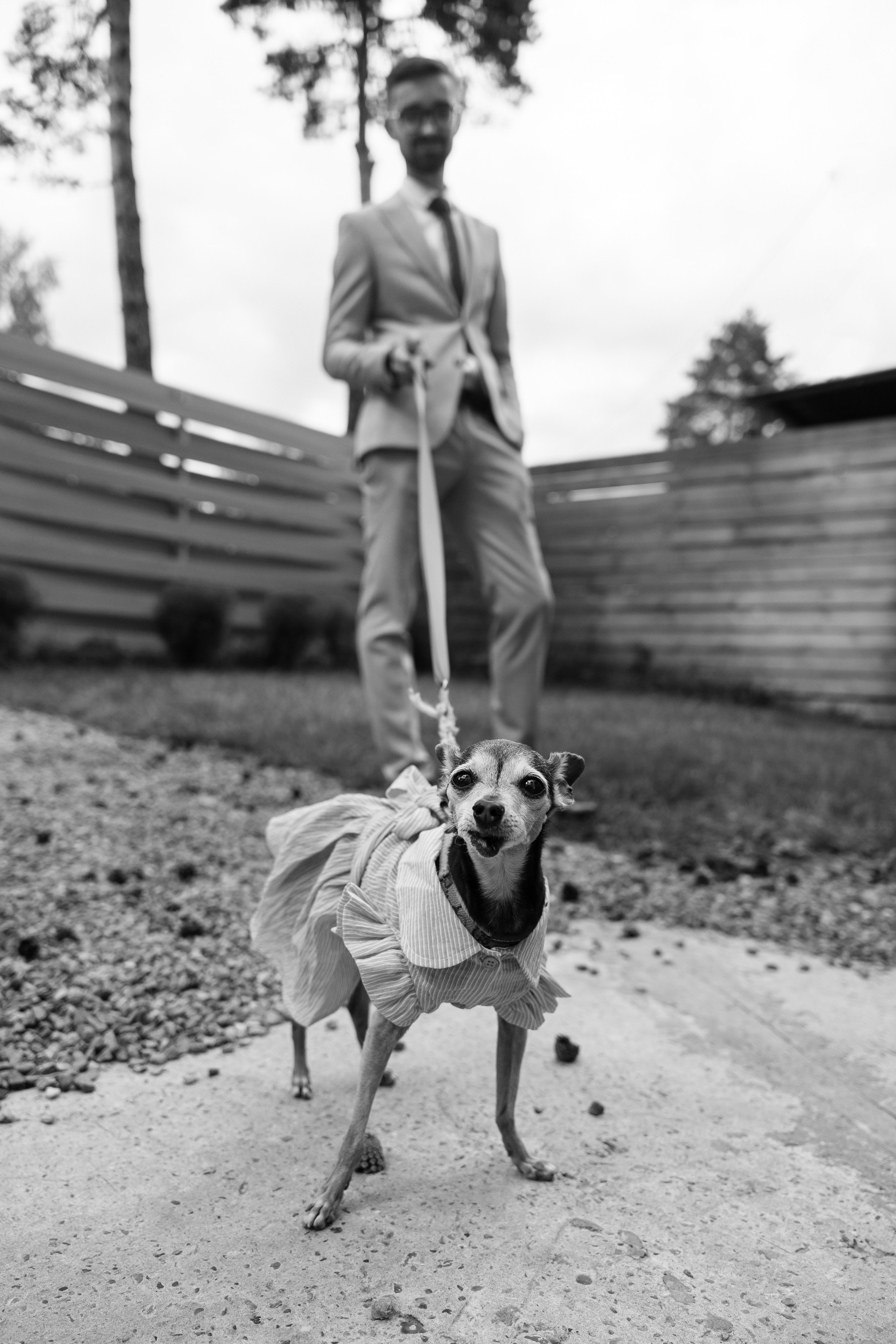 Витя и Аня. Фотограф Томск, Новосибирск Влад Свириденко