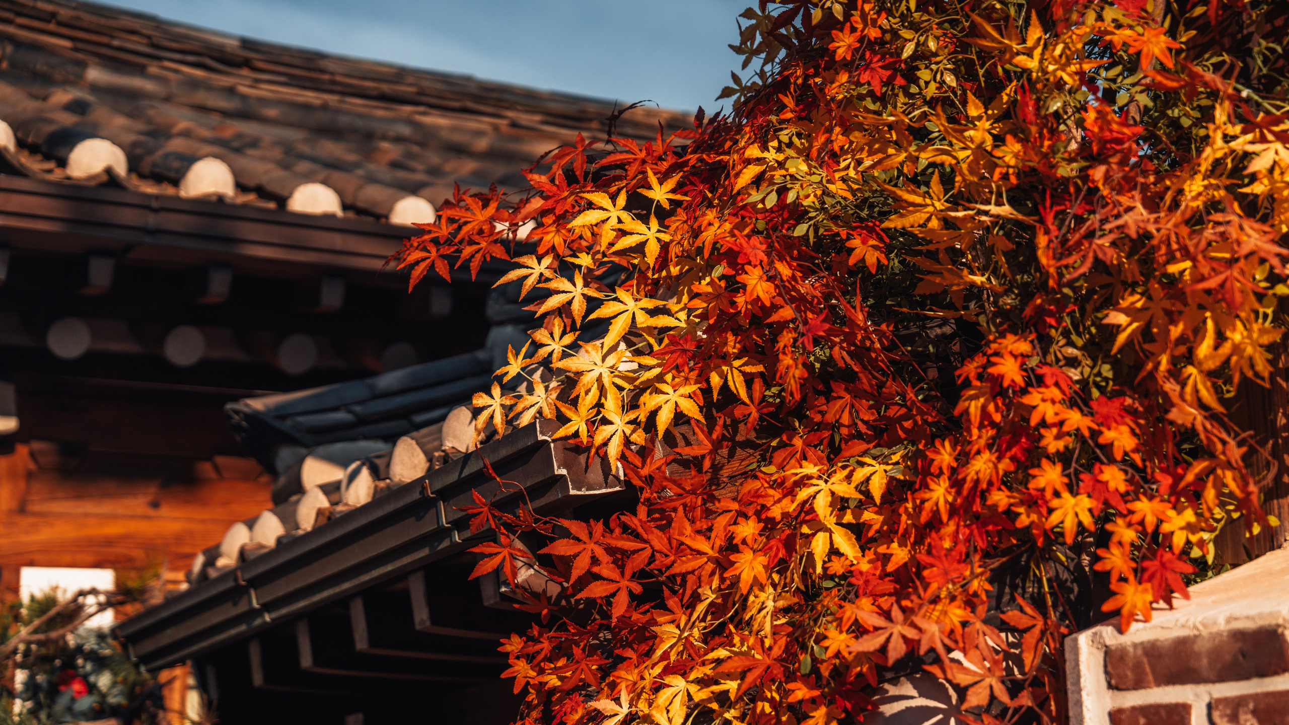 Street photography / Уличная фотография. @tomrus: Рустам Шагиморданов — фотограф