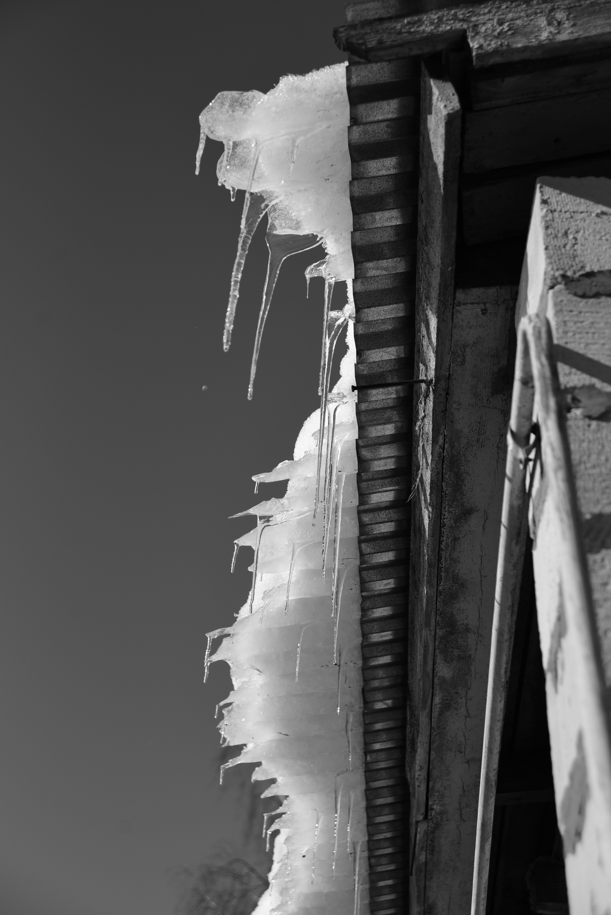 Кострома. Фотограф Милена Яновска