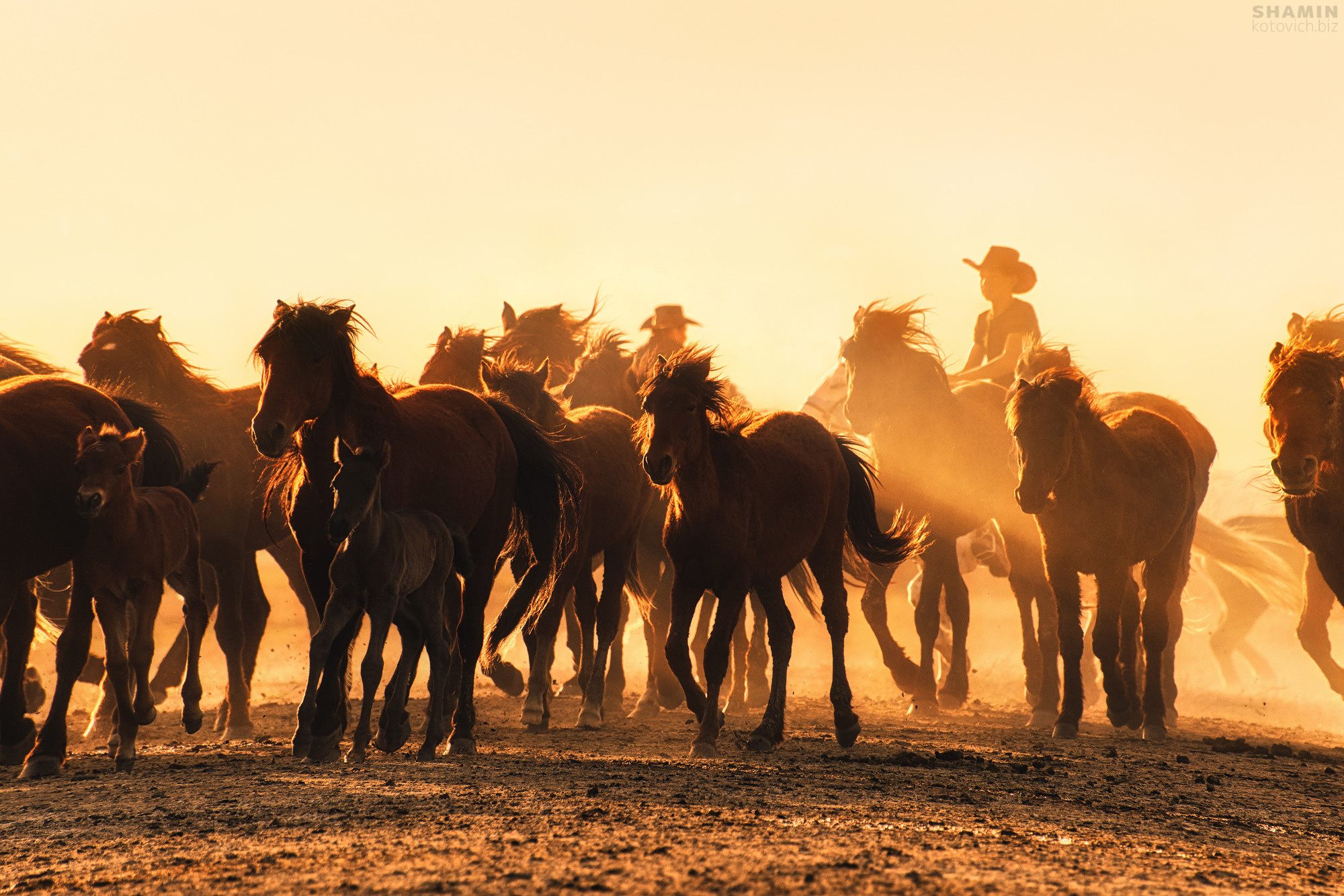 Пейзаж. Фотограф Константин Шамин