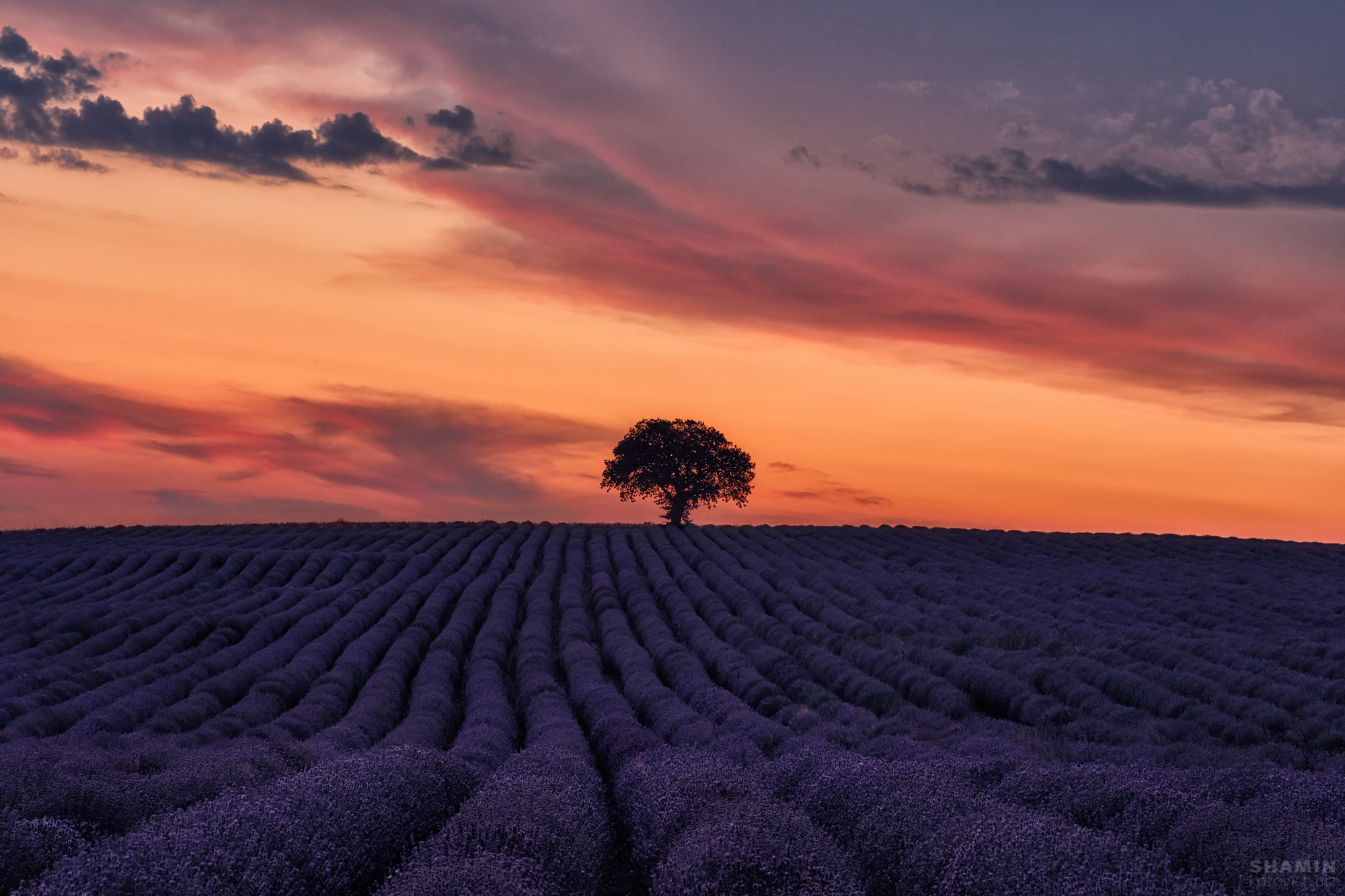 Пейзаж. Фотограф Константин Шамин