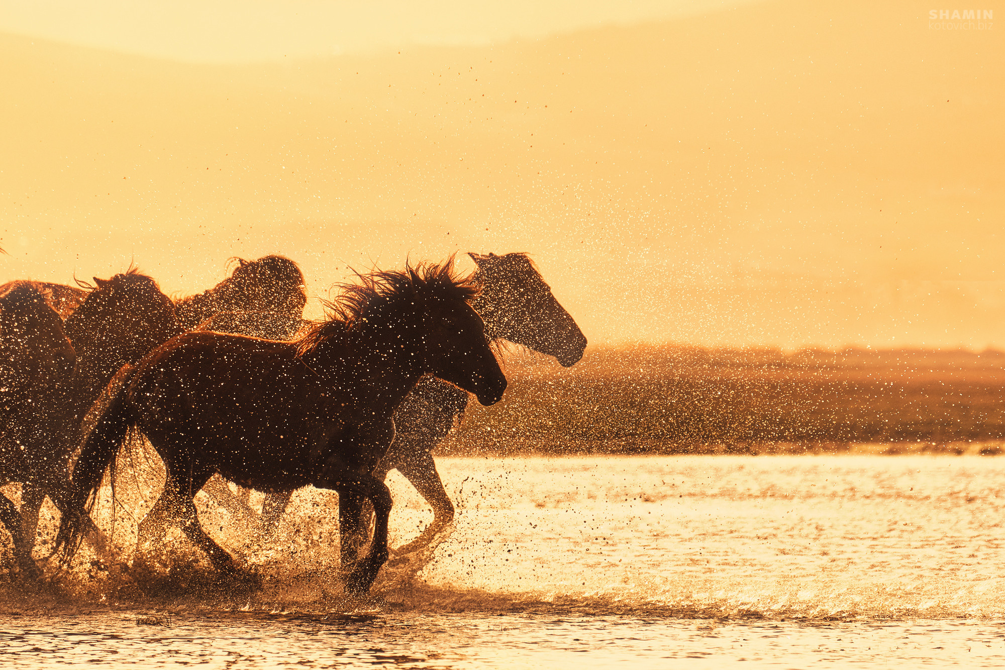 Пейзаж. Фотограф Константин Шамин