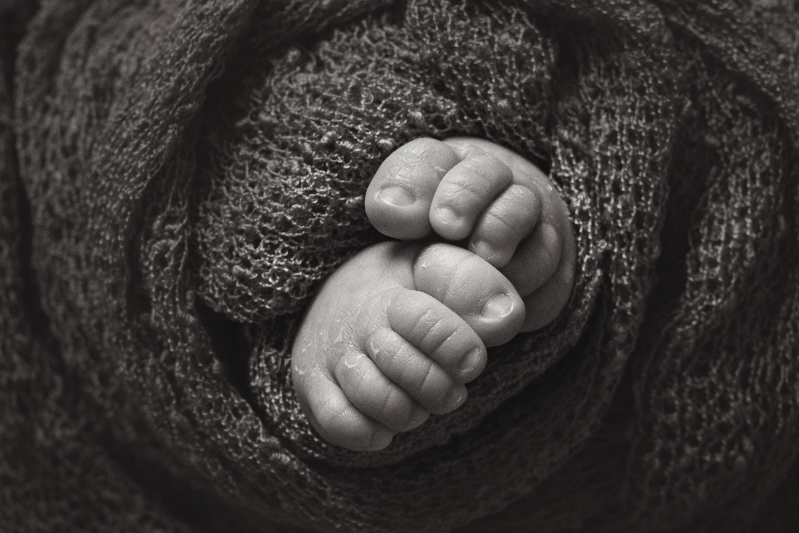 NEWBORN. Le_Dlu Фотограф Елена Длужинская