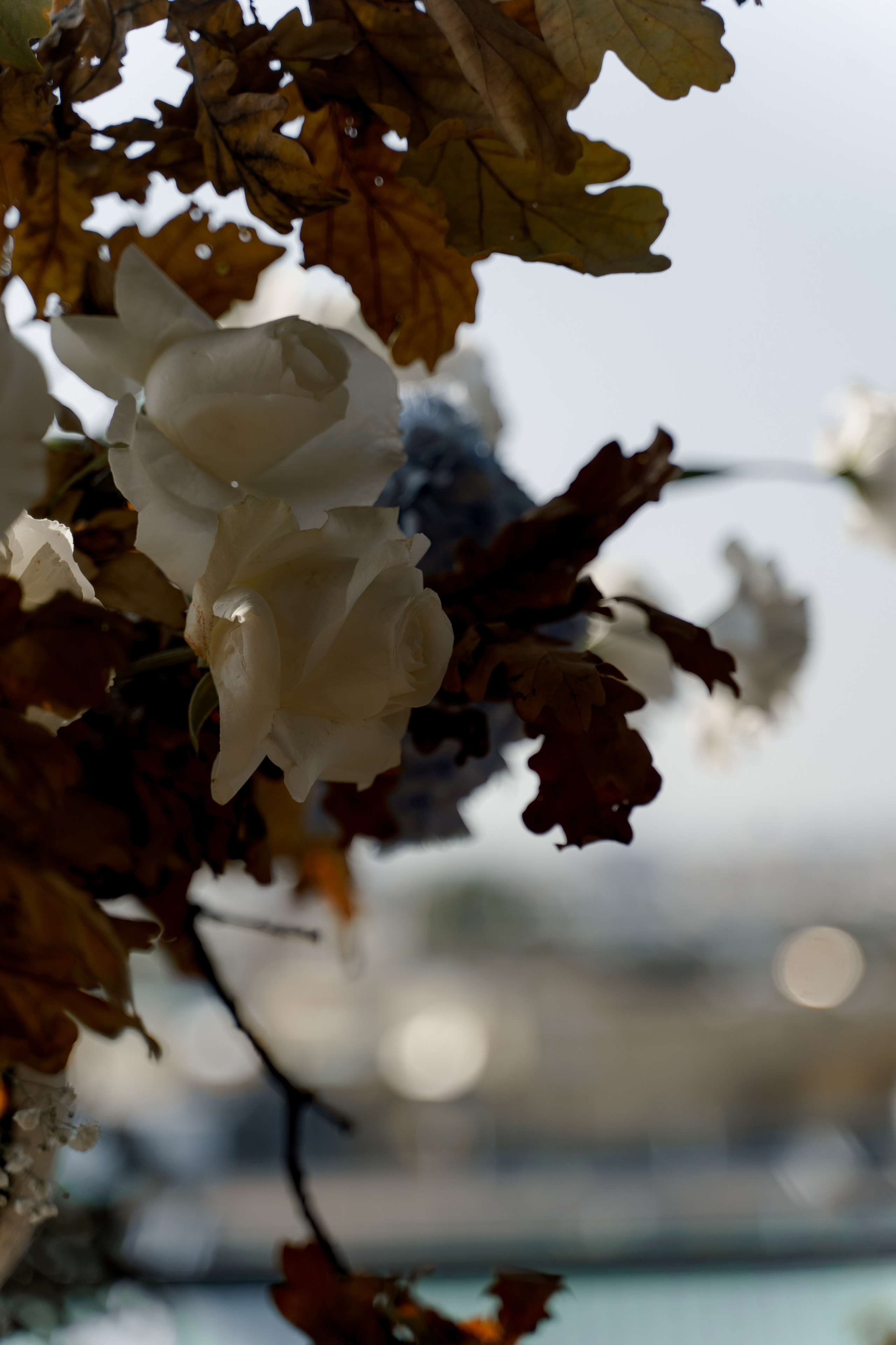 Евгений Магдалина. Камерная свадьба в отеле Софитель в стиле садовая флористика. Свадебный фотограф организатор в Санкт-Петербурге Ассоль Опарина