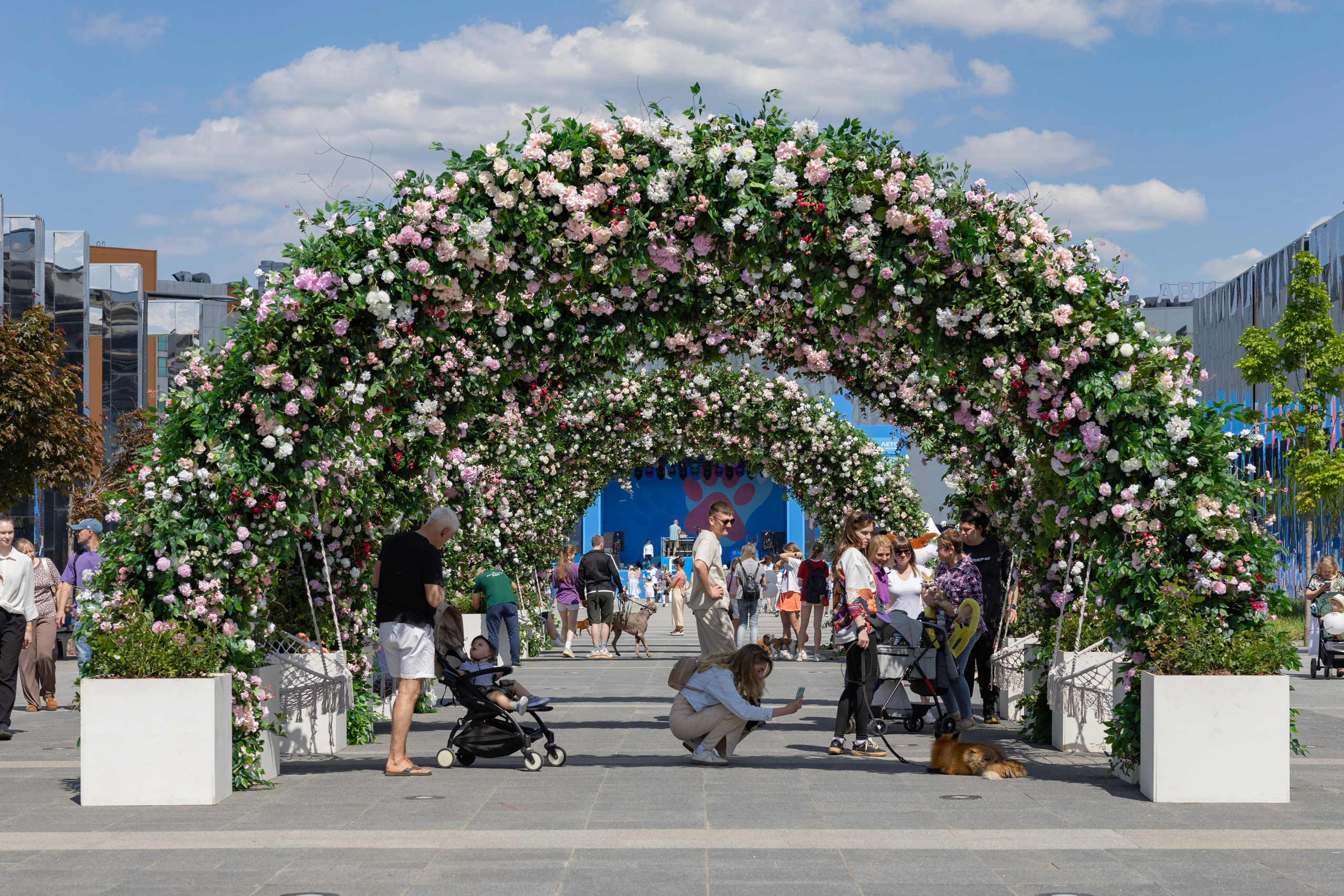 «ЛапкиФест». Фотограф, получающий удовольствие от своей работы