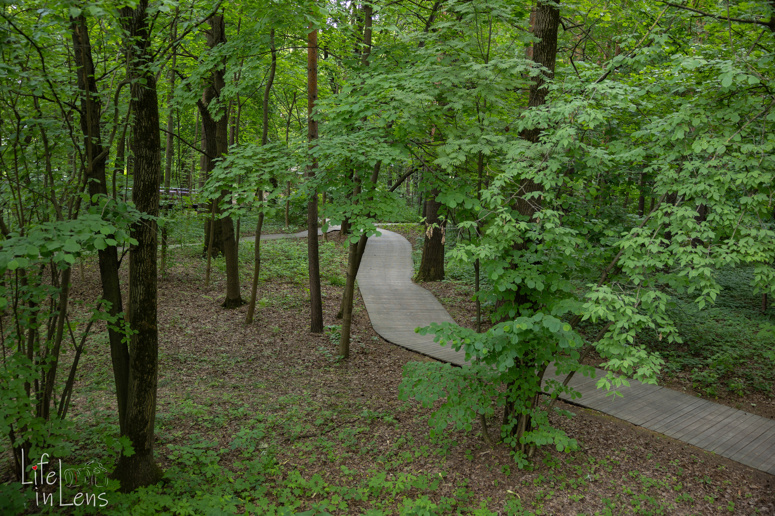 ВДНХ. День России. Фотограф, получающий удовольствие от своей работы