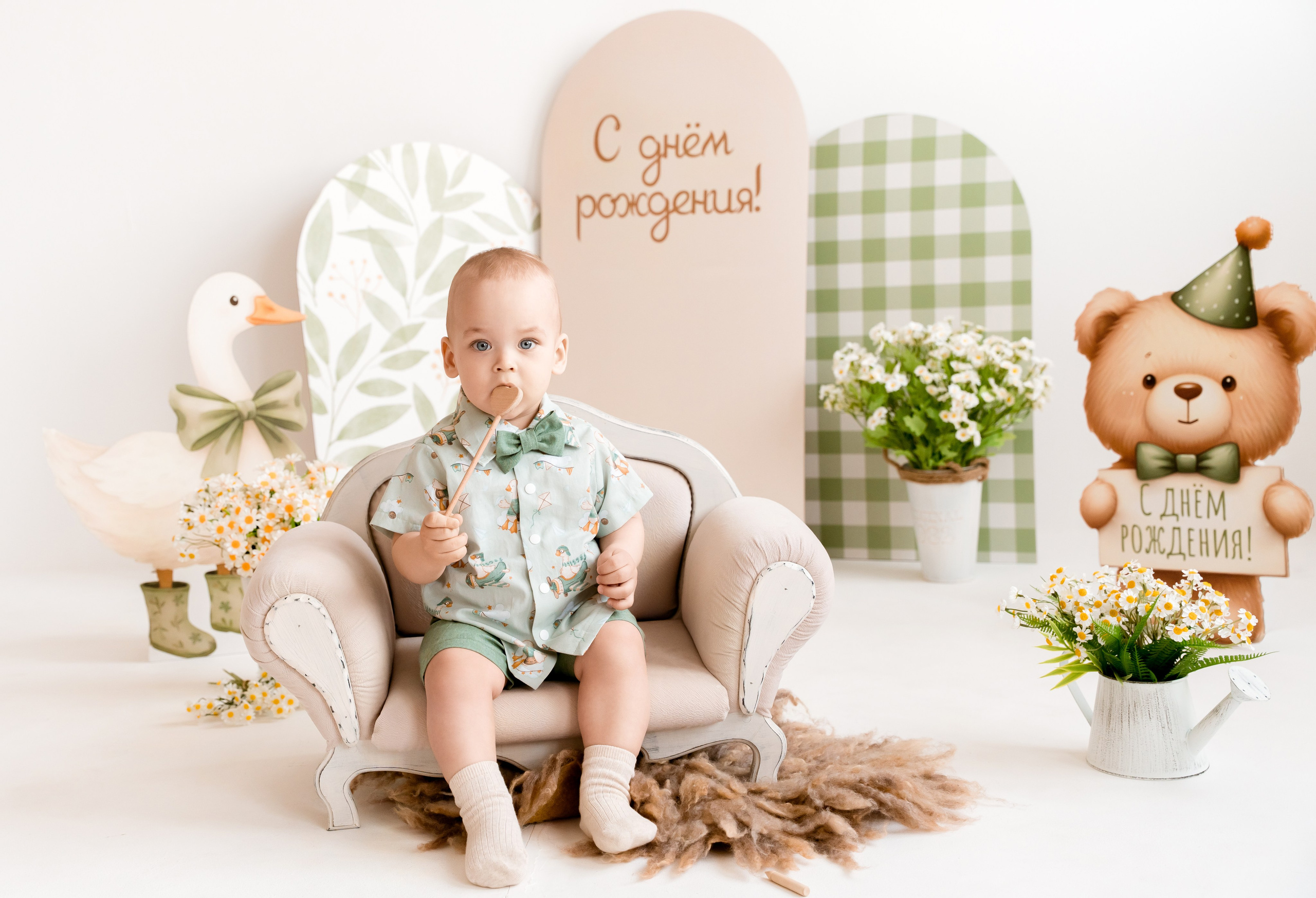 Гуси. Детский и семейный фотограф, Newborn фотограф новорожденных г. Челябинск