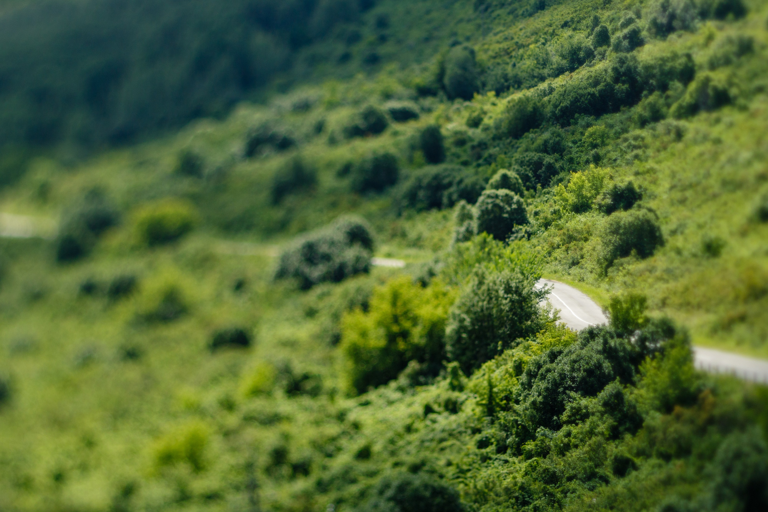 Казахстан. Фотограф Кирилл Мешков Кемерово