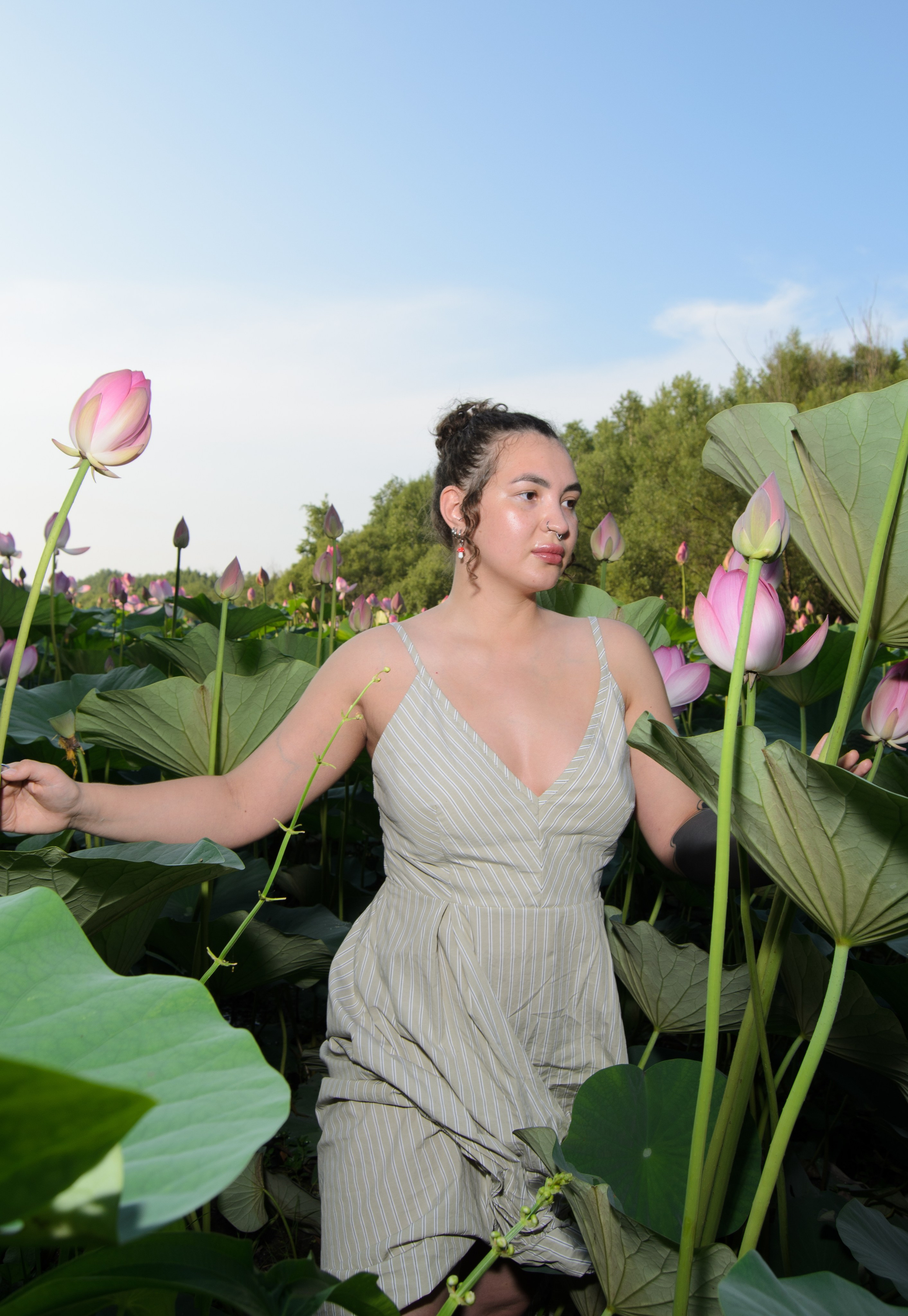 Лотосы. Колентеева Наталья/фотограф