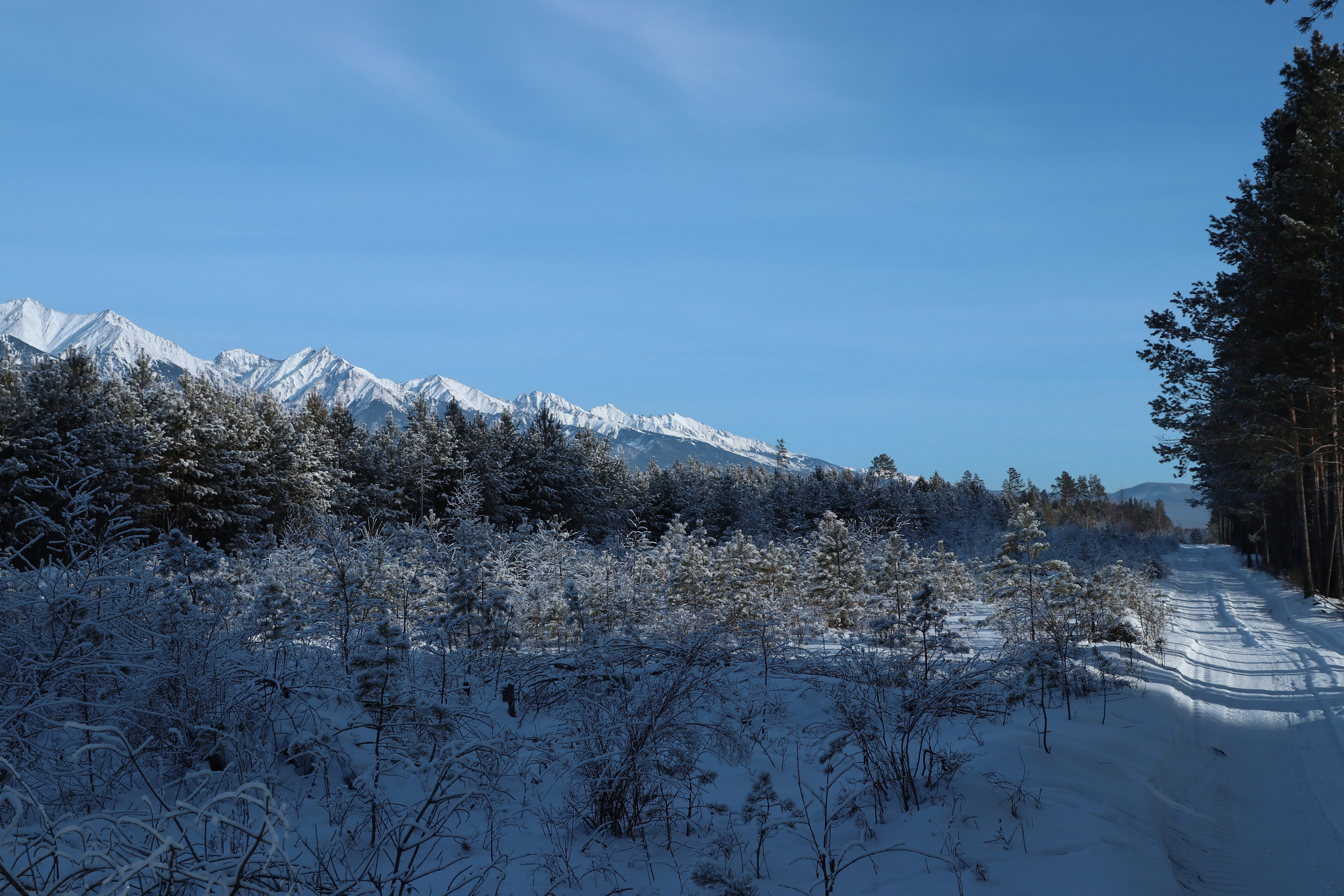 Аршан. Январь 2024. Путешественник-фотограф из Санкт-Петербурга Татьяна Свистулина