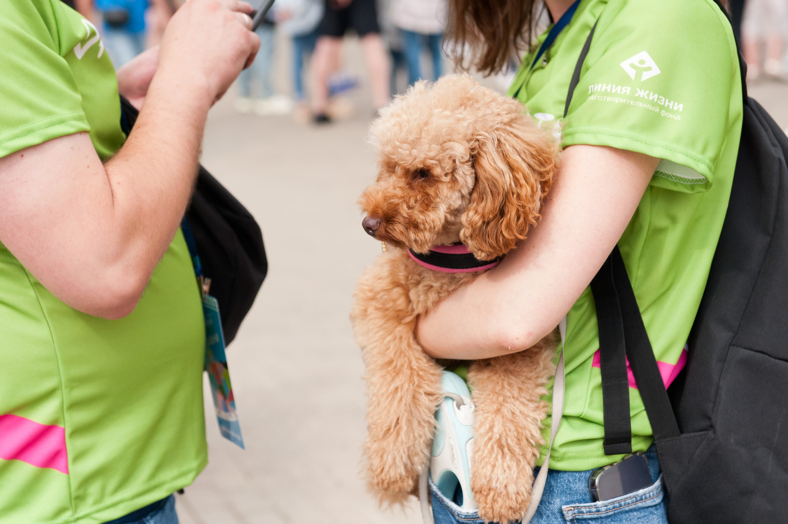 Корпоративное. Забег X5 Retail Group. Репортажный фотограф и видеограф Слава Думчев. Тимбилдинги, отчетники, корпоративы